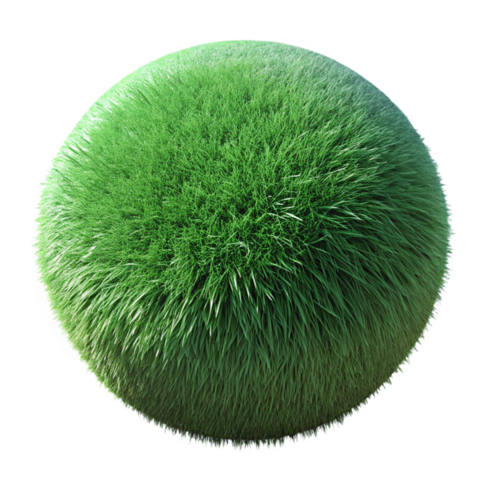 impressive rustic Green Grass Close Up Texture Cutout high resolution png