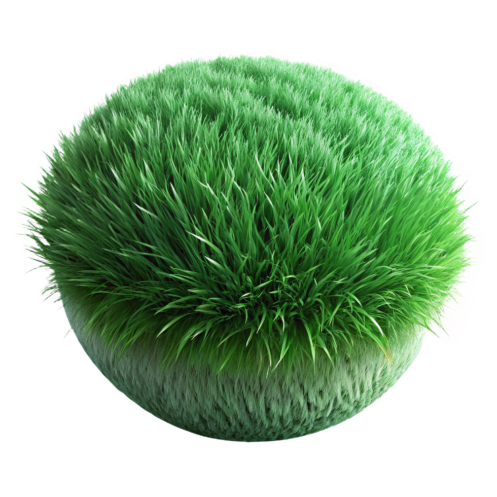 elegant creative Green Grass Texture Close Up Transparent Background genuine png