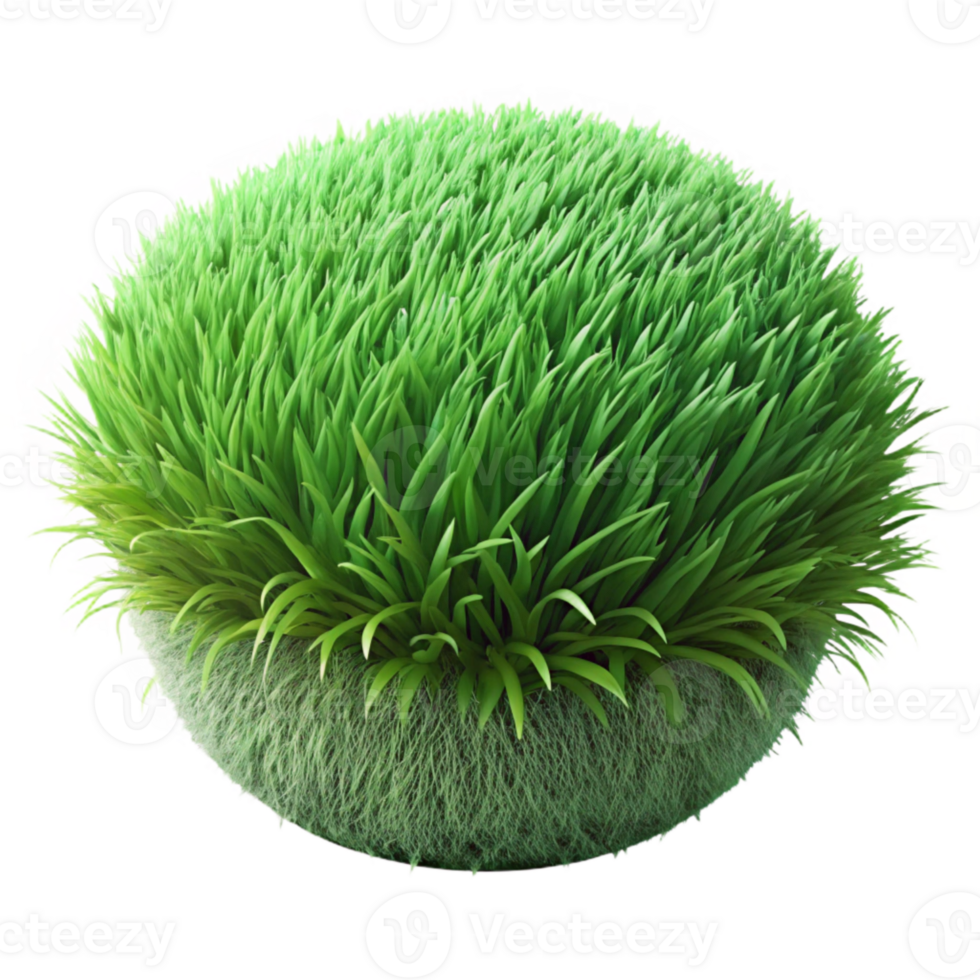 wonderful traditional Green Grass Texture Isolated Close Up high resolution png