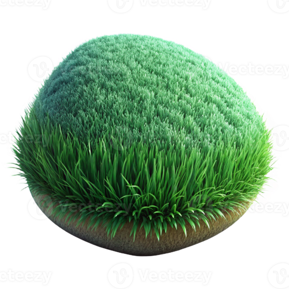 magnificent rustic Green Grass Texture Isolated Close Up exclusive png