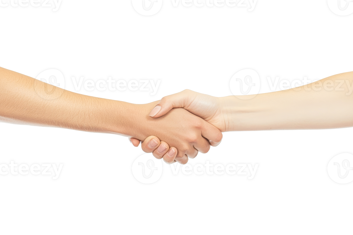 Handshake between diverse individuals in agreement png