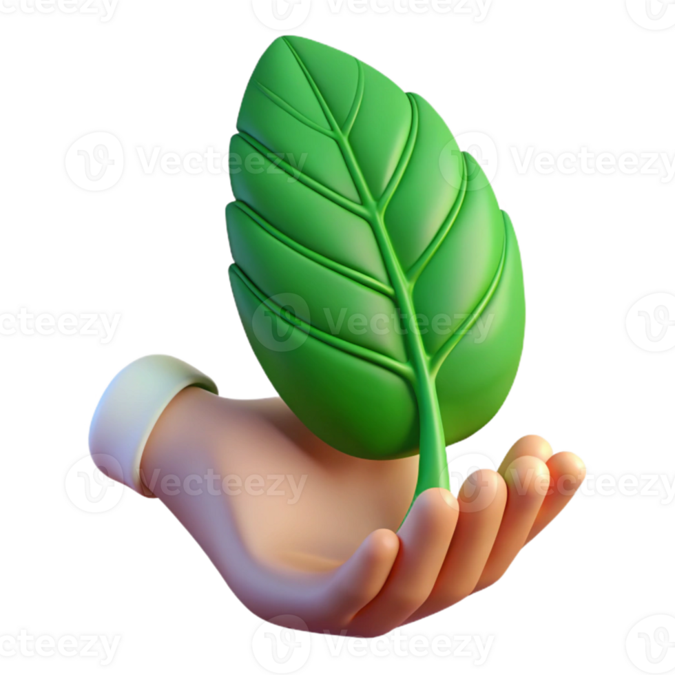 magnificent classic Green Leaf Held in Hand Isolated Soft Sunlight premium png