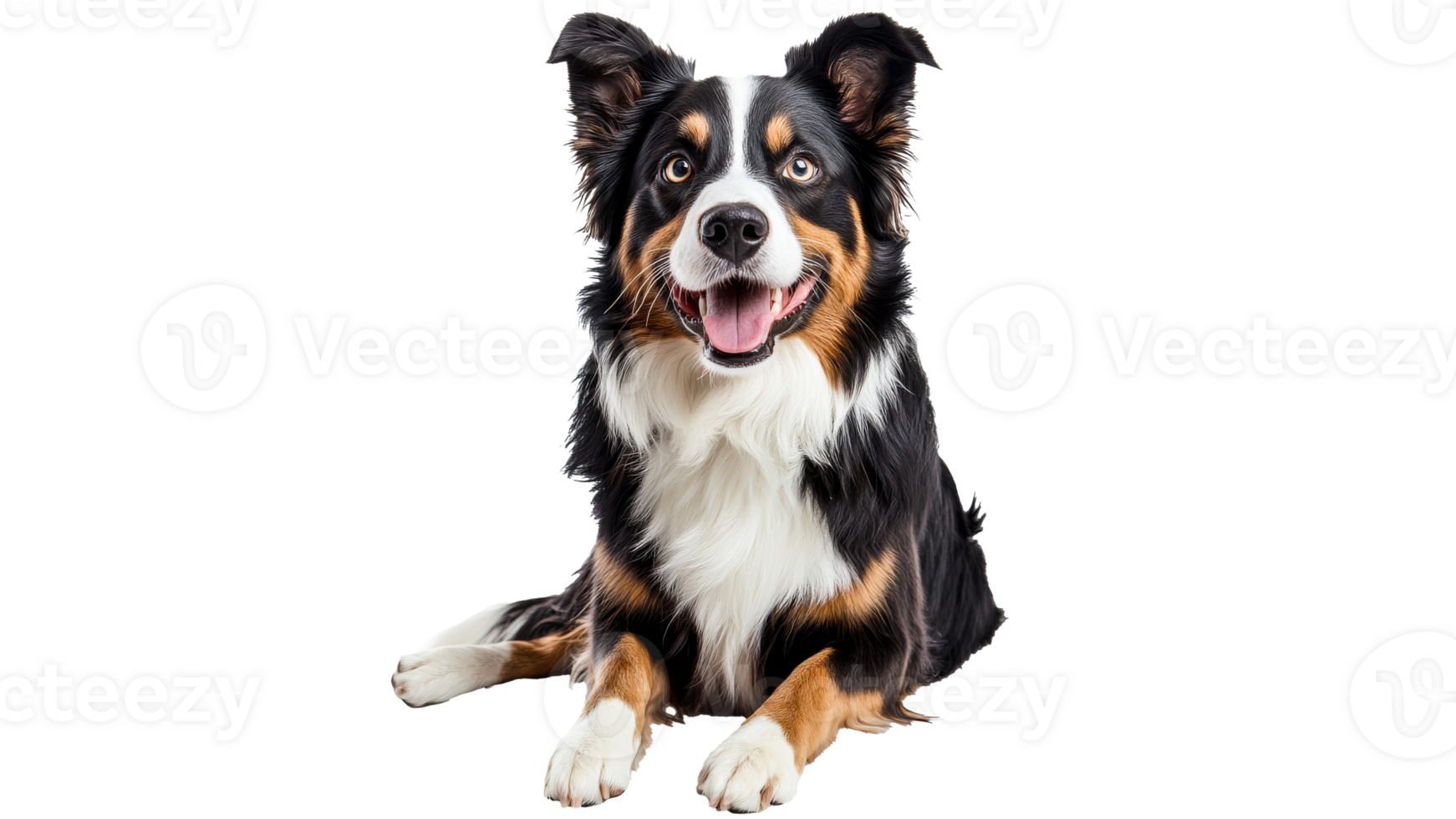 Happy dog relaxing indoors with bright expression png