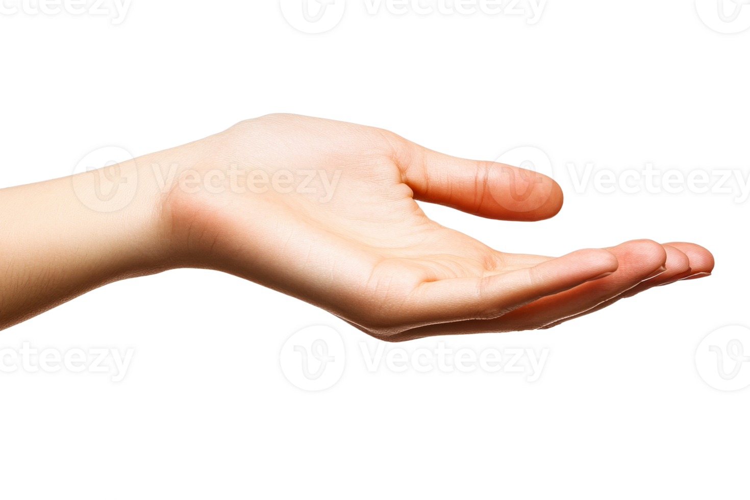 Open hand ready for gesture or offering help png