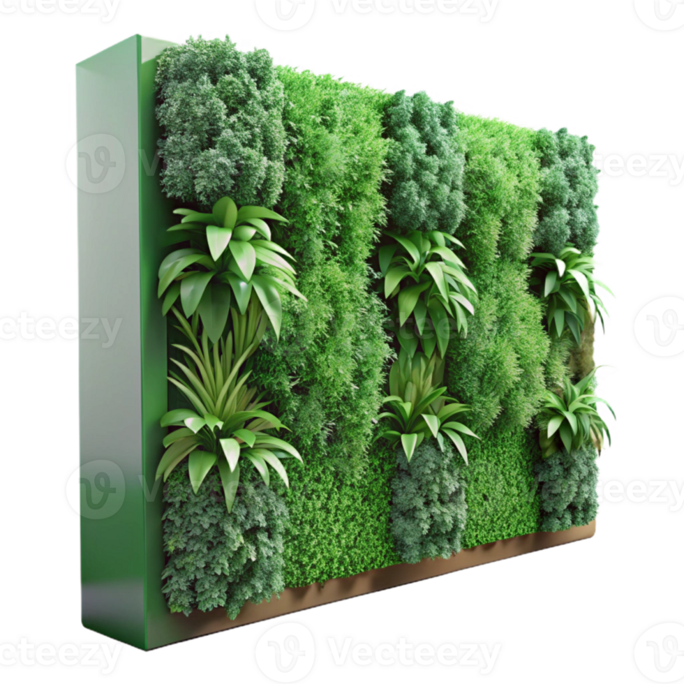 elegant creative Green Wall Vertical Garden Close Up Cutout exclusive png