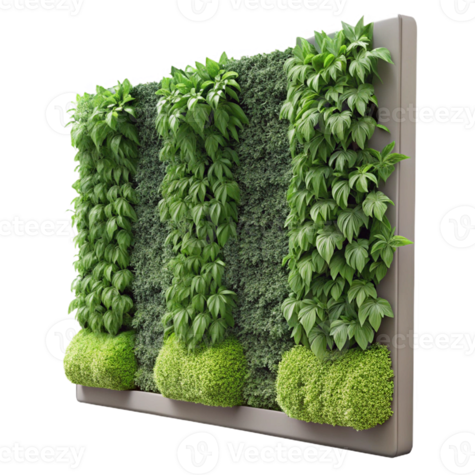 beautiful abstract Green Wall Vertical Garden Close Up Cutout authentic png