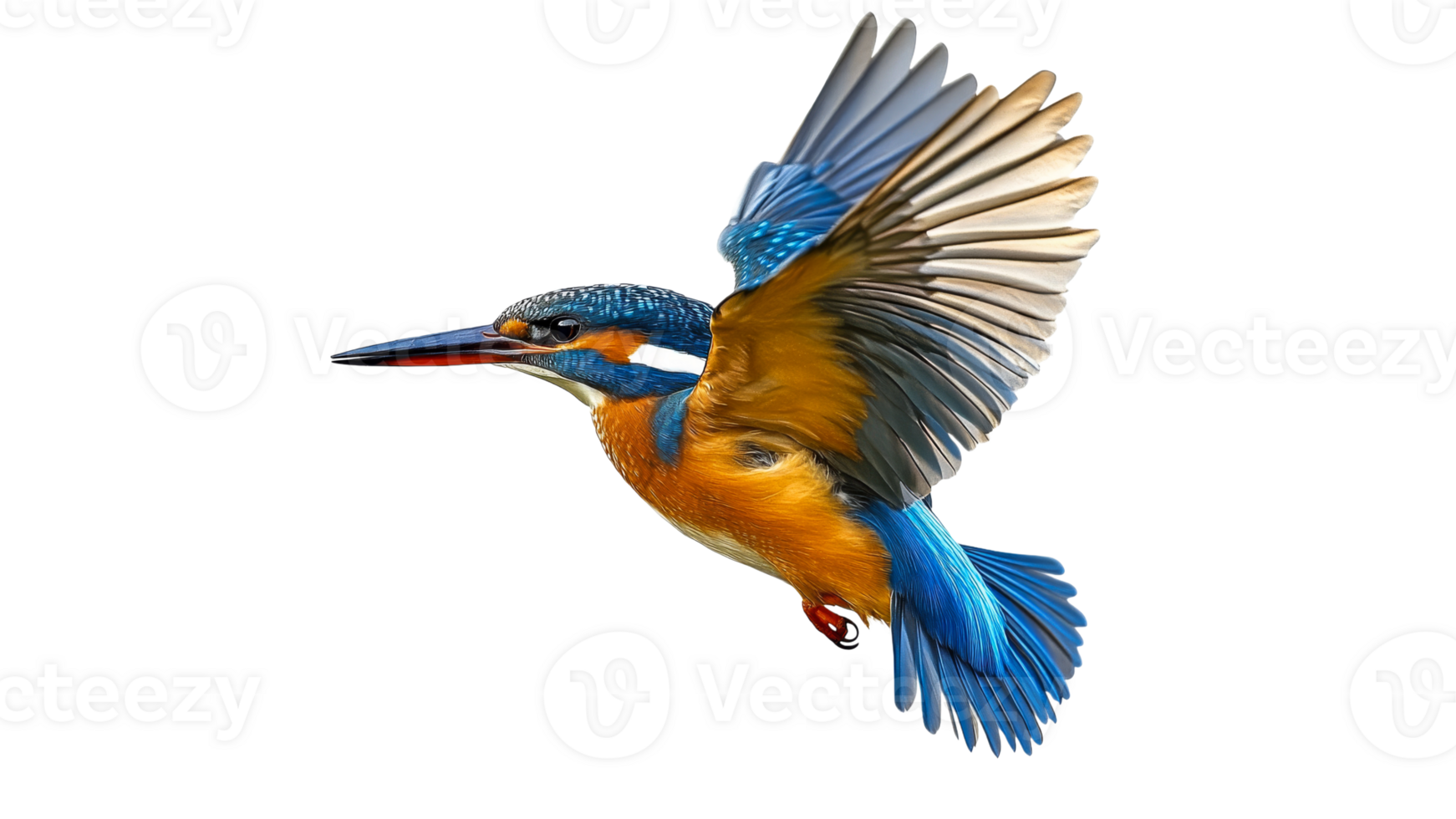 Colorful kingfisher soaring through the air png