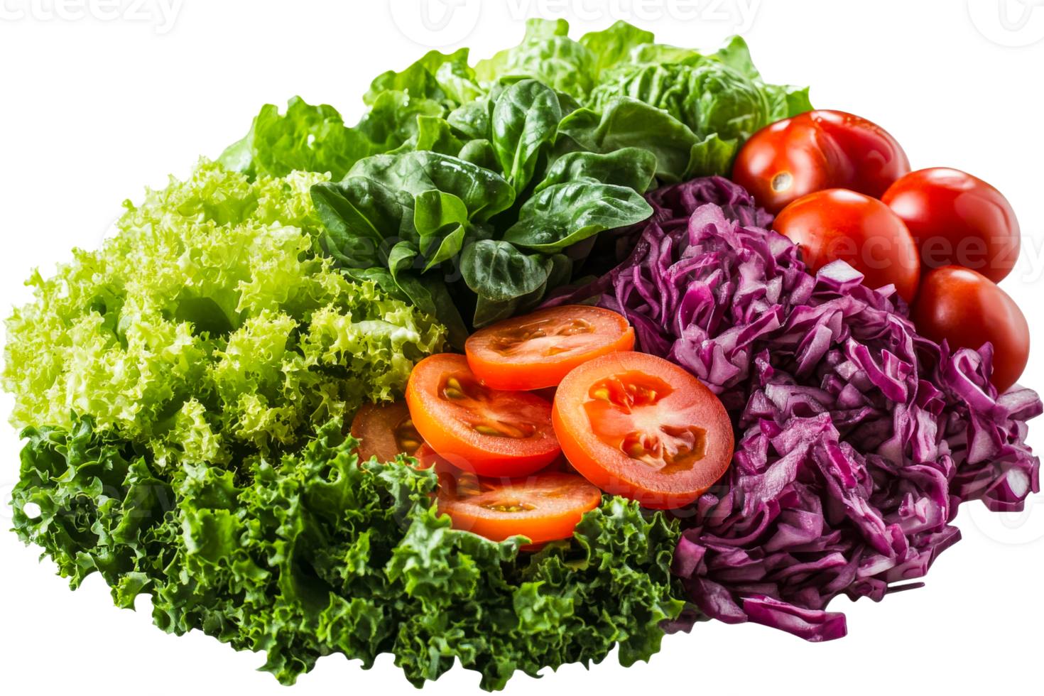 Freshly arranged mixed salad with vibrant colors png