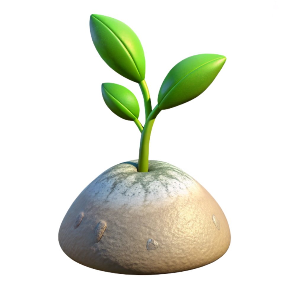 elegant modern Growing Plant Reaching for Sunlight Transparent Background original png