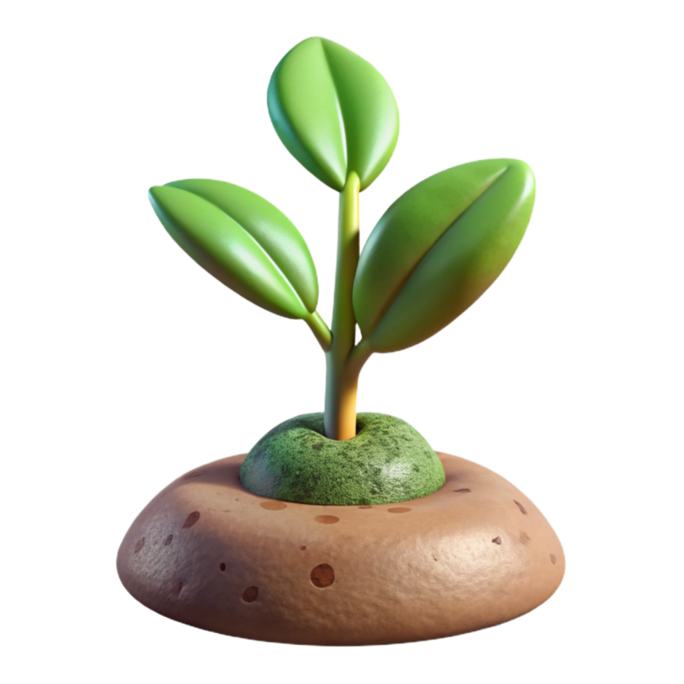 beautiful creative Growing Plant Timelapse Sequence Transparent Background high quality png