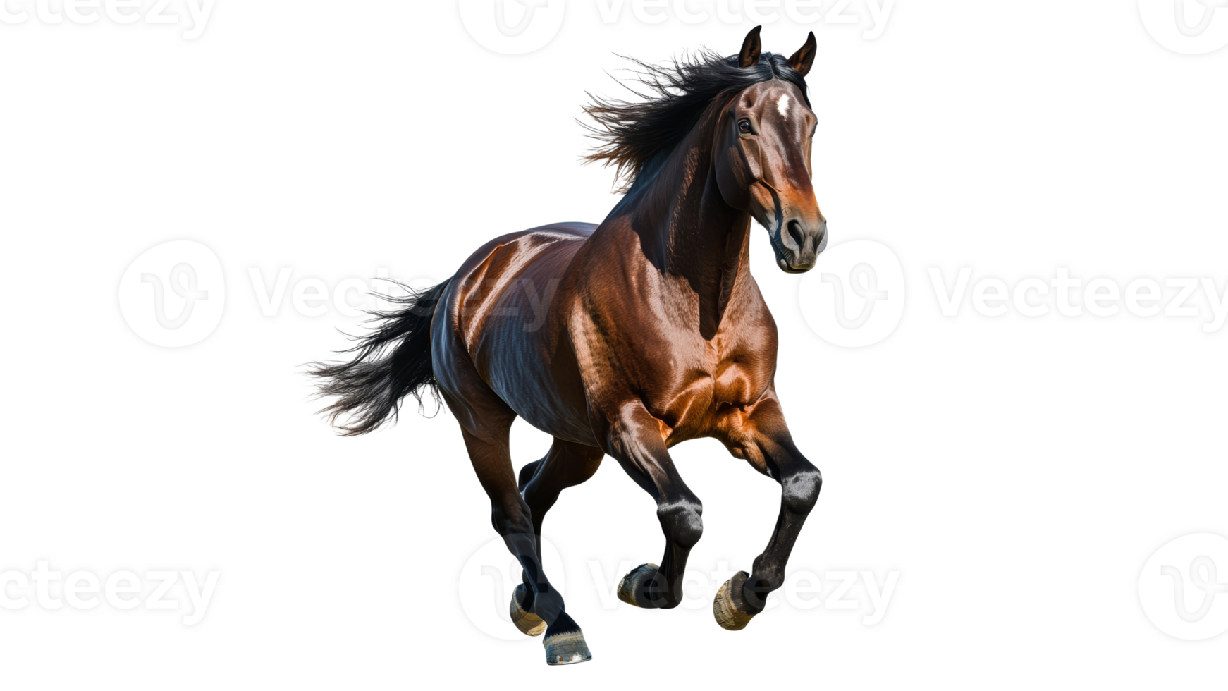 Brown horse running in open field during daylight png