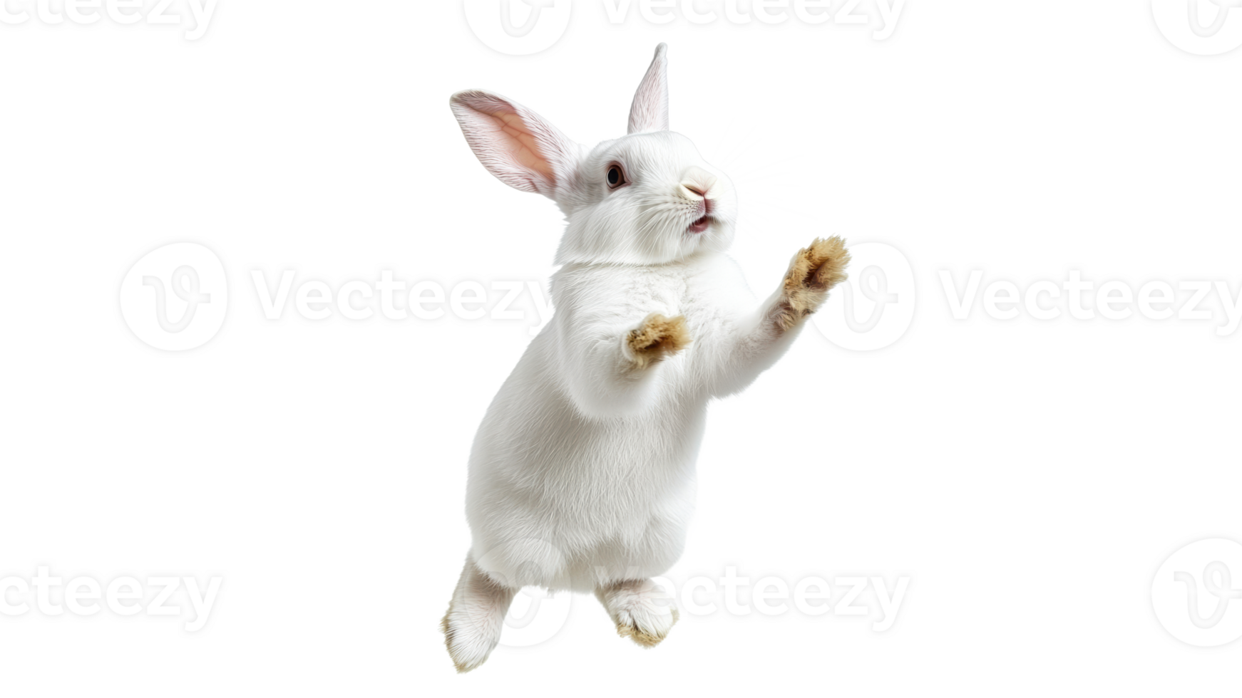 Cute white rabbit jumping in playful motion png
