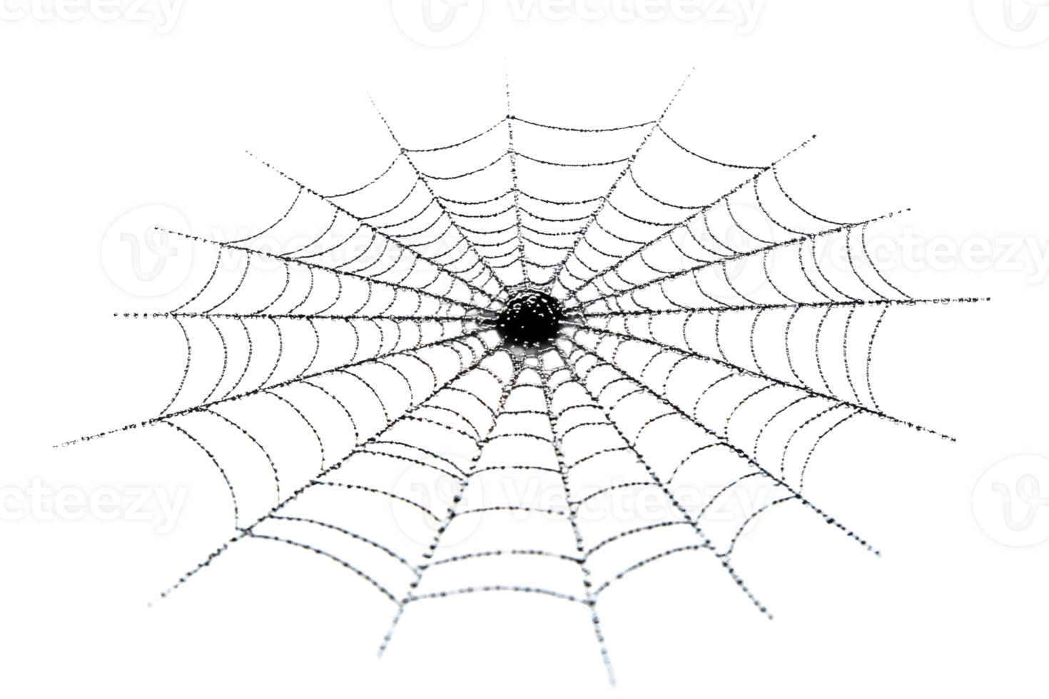 Detailed spider web glistening with dew droplets png