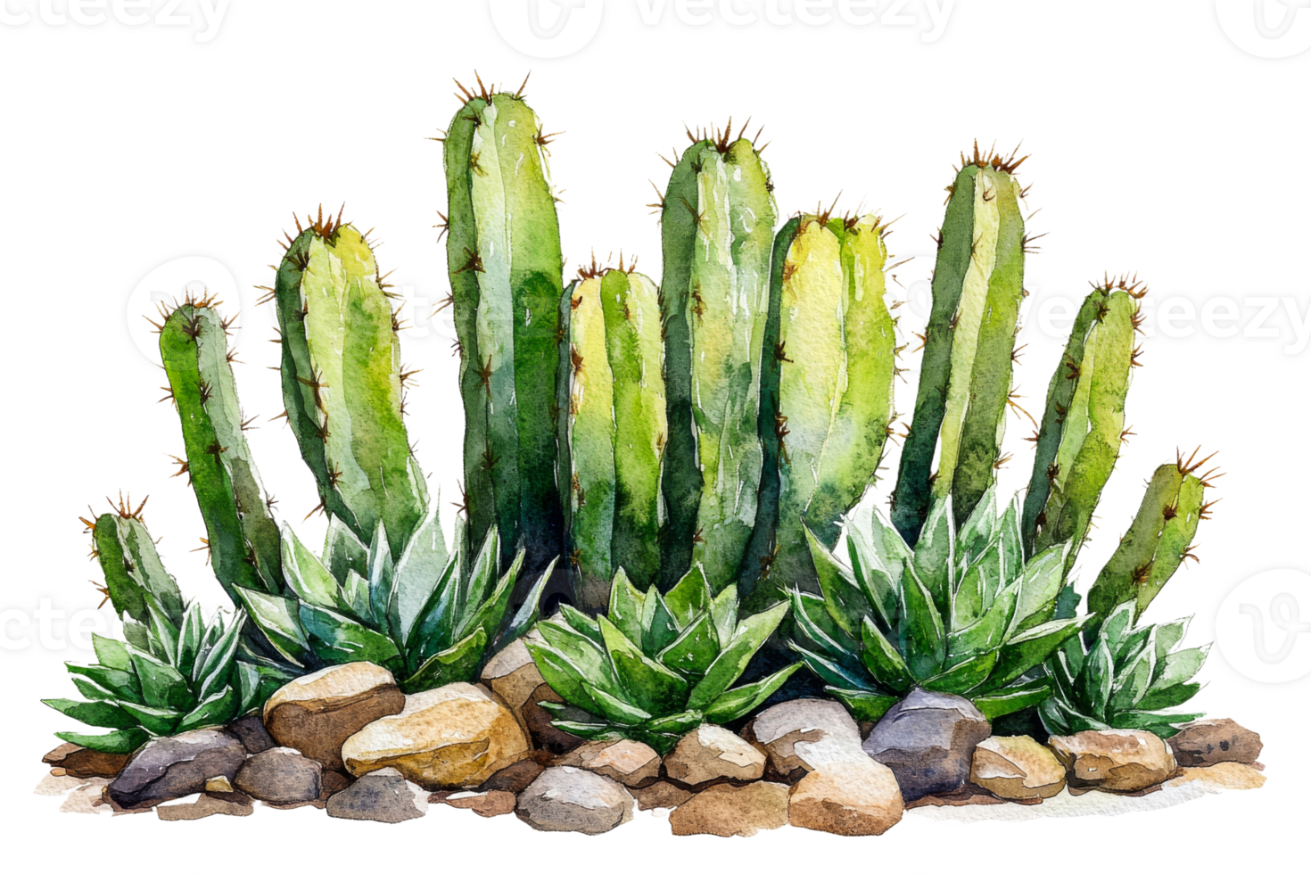 Cacti and succulents in vibrant natural setting png