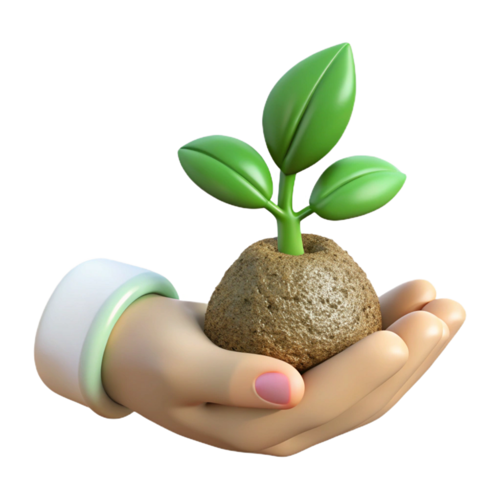extraordinary creative Hand Holding a Seedling Front View Transparent professional png