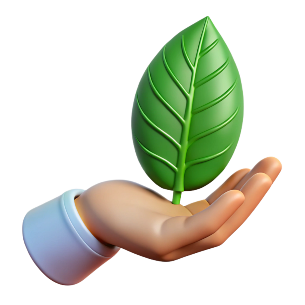 stunning minimalist Hand Holding Green Leaf Front View Transparent genuine png