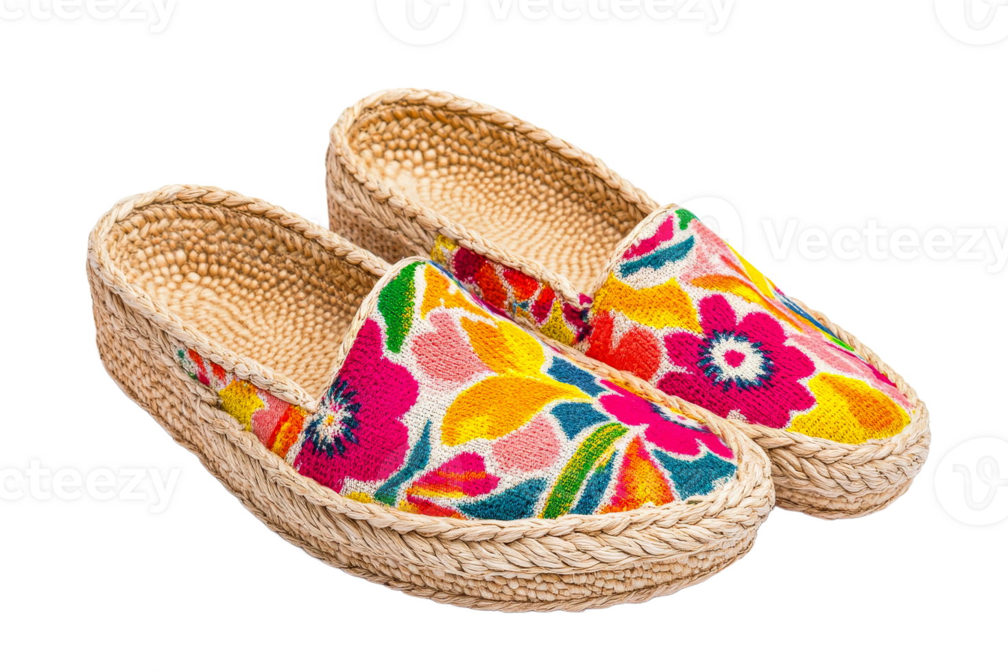 Colorful floral espadrilles for summer footwear png