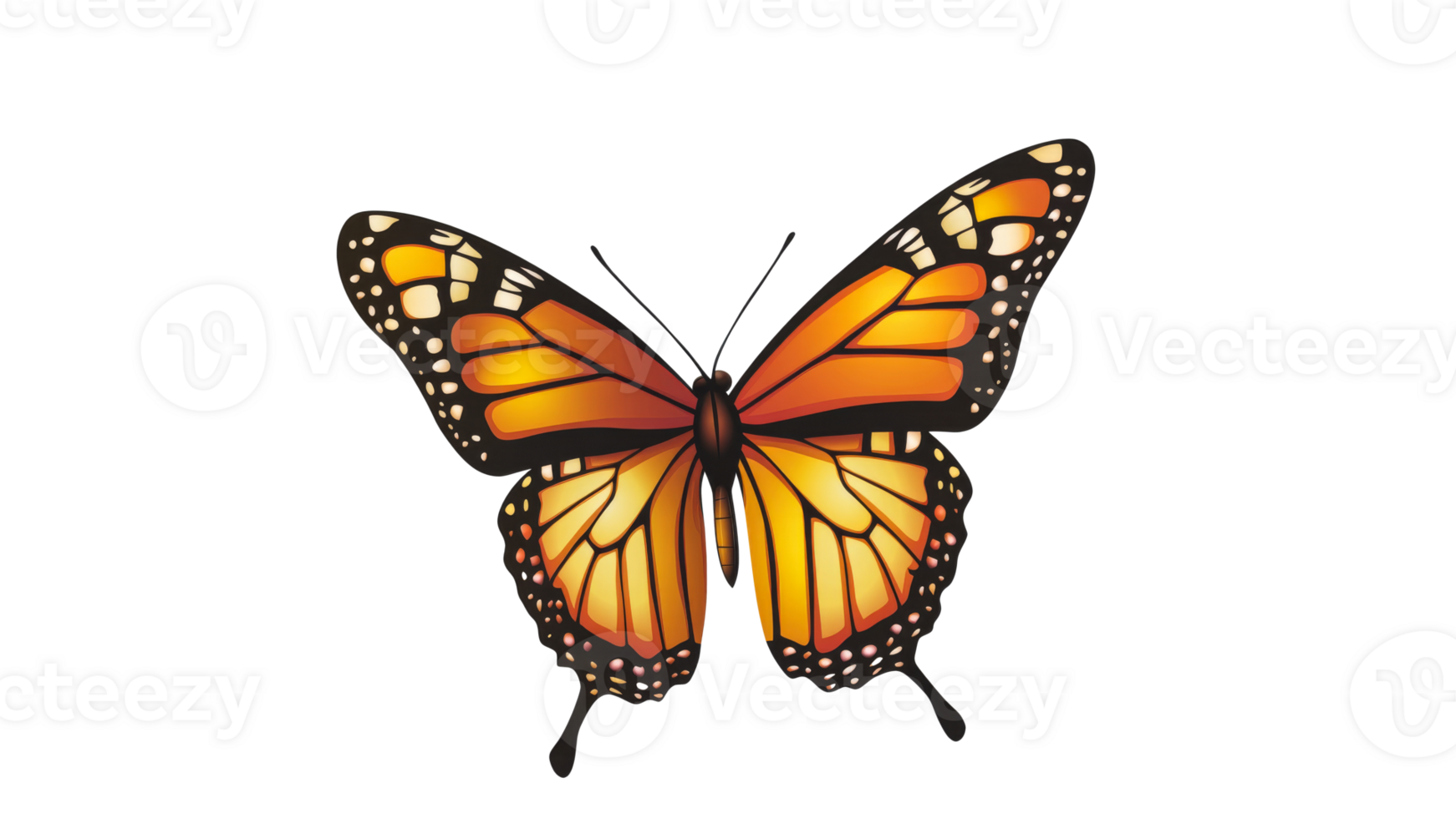 Bright monarch butterfly resting with open wings png