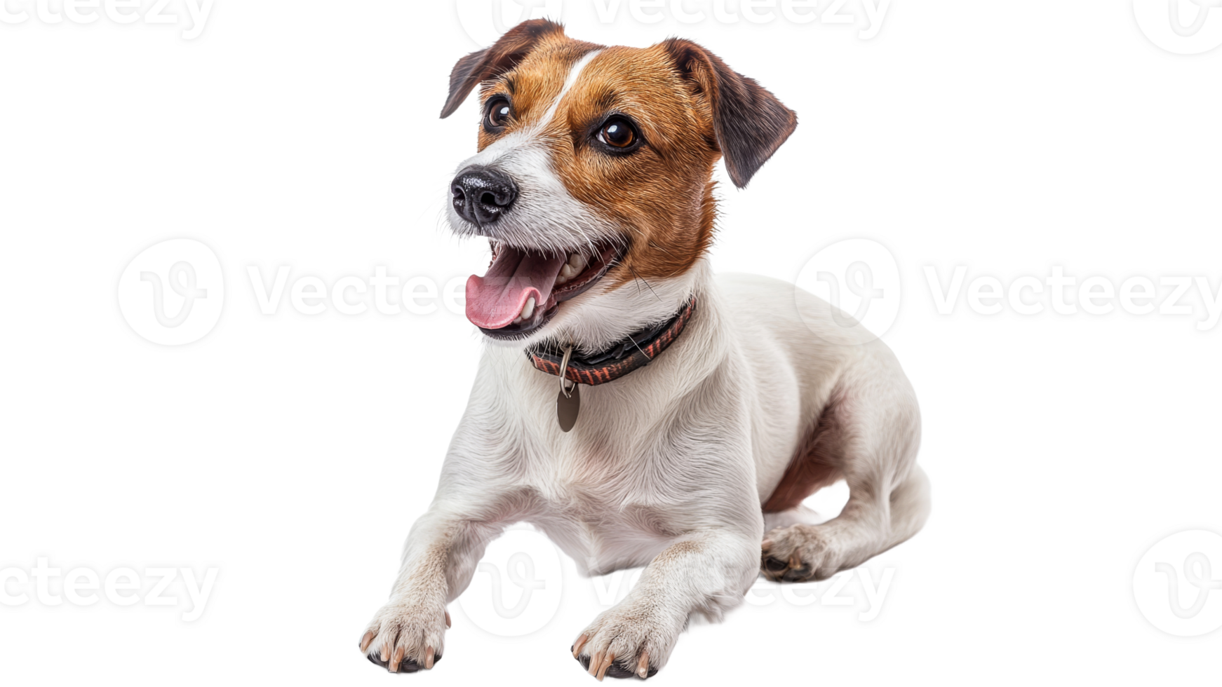 Joyful dog lying with a happy expression indoors png