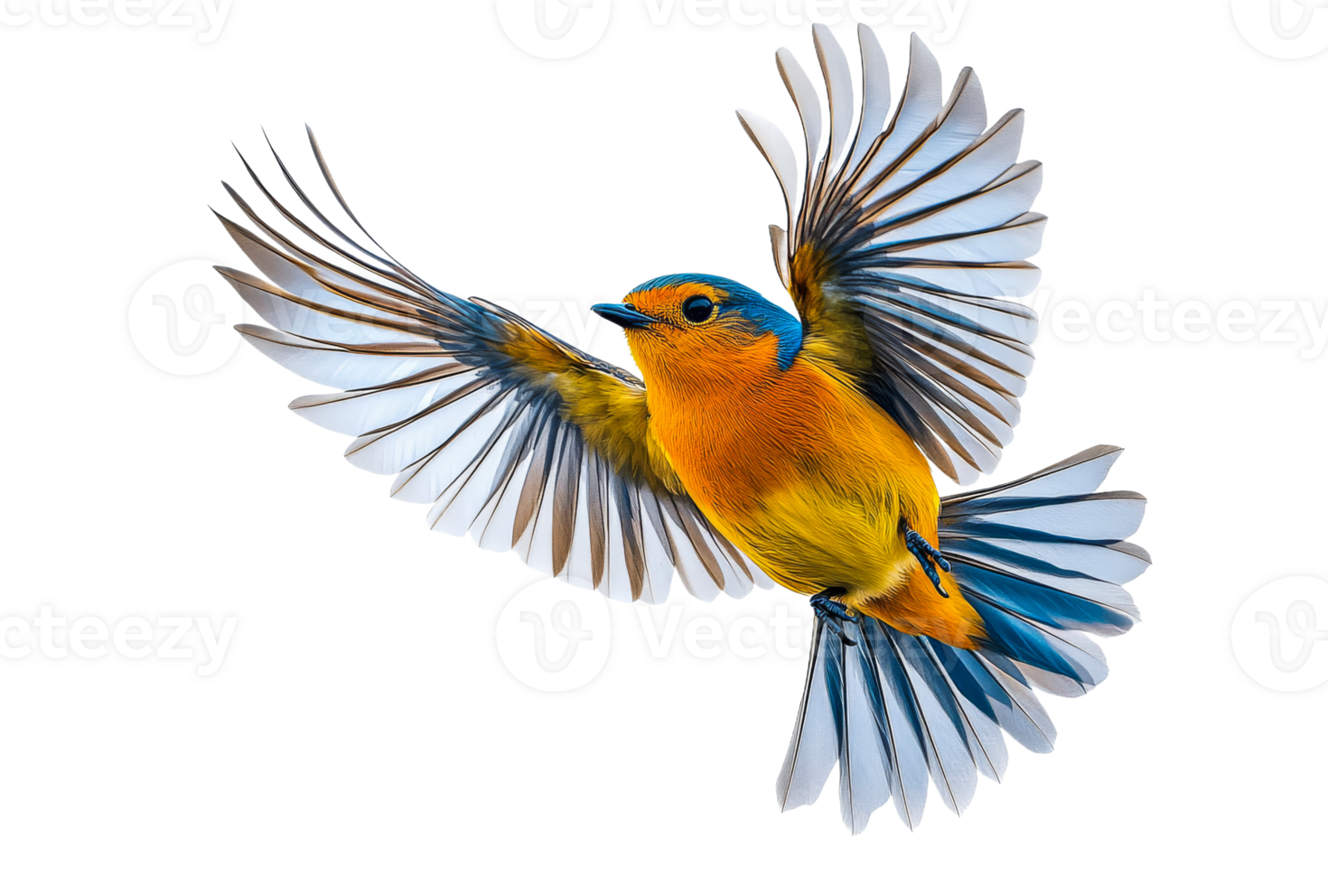 Vibrant bird flying with bright feathers png
