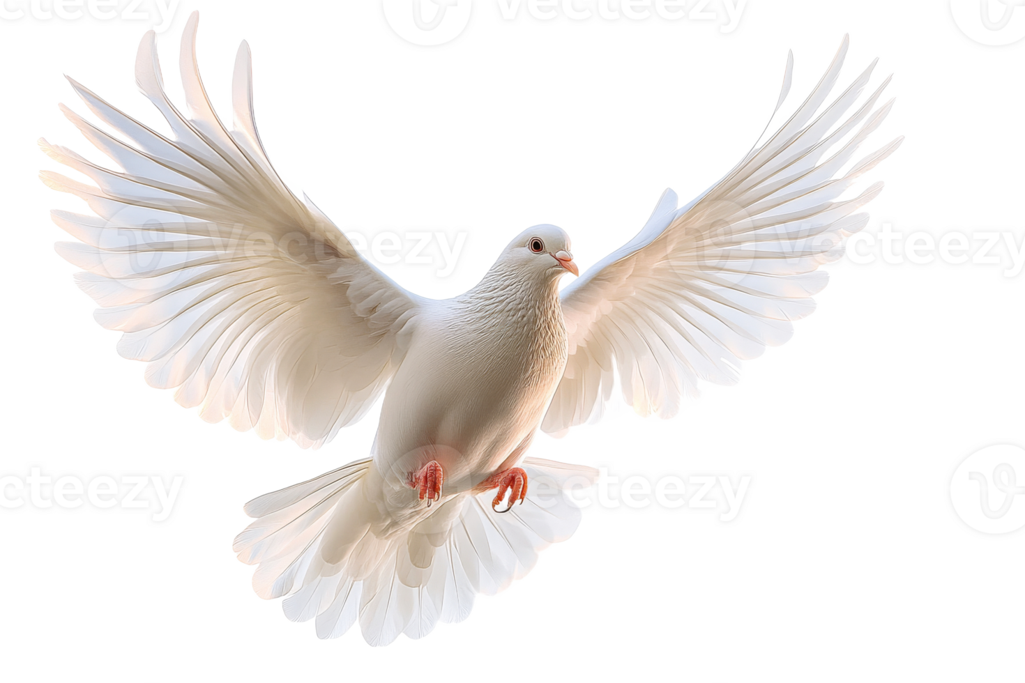 White dove soaring gracefully in open sky png