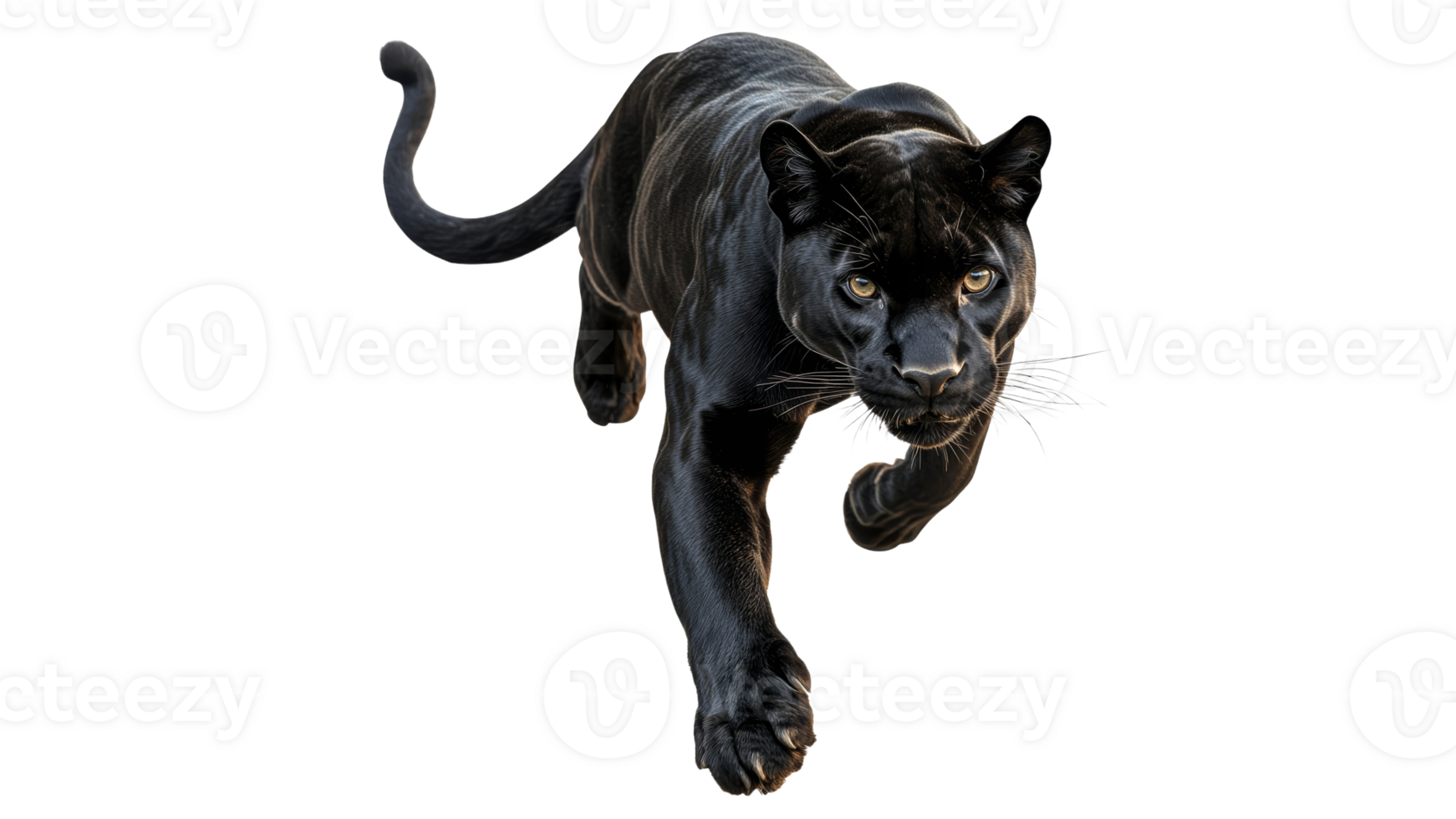 Black panther walking through a bright space png