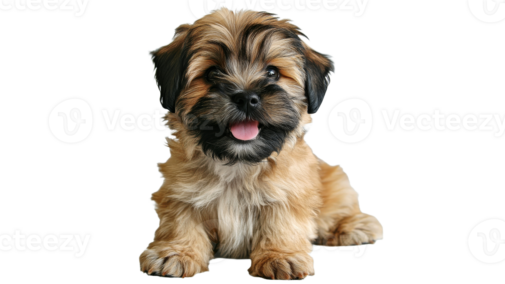Cute puppy lying on a white surface png