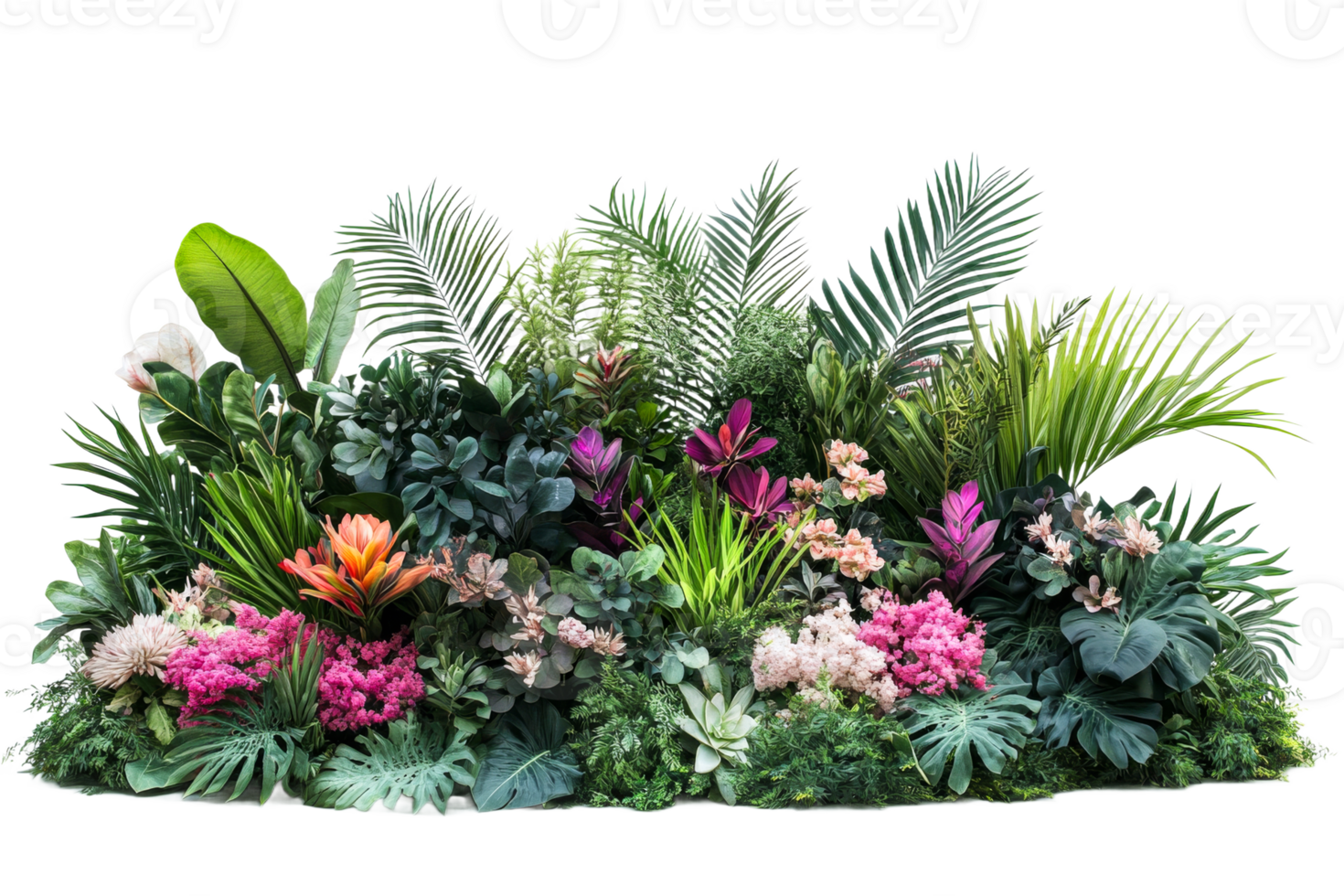 Vibrant floral botanical arrangement png