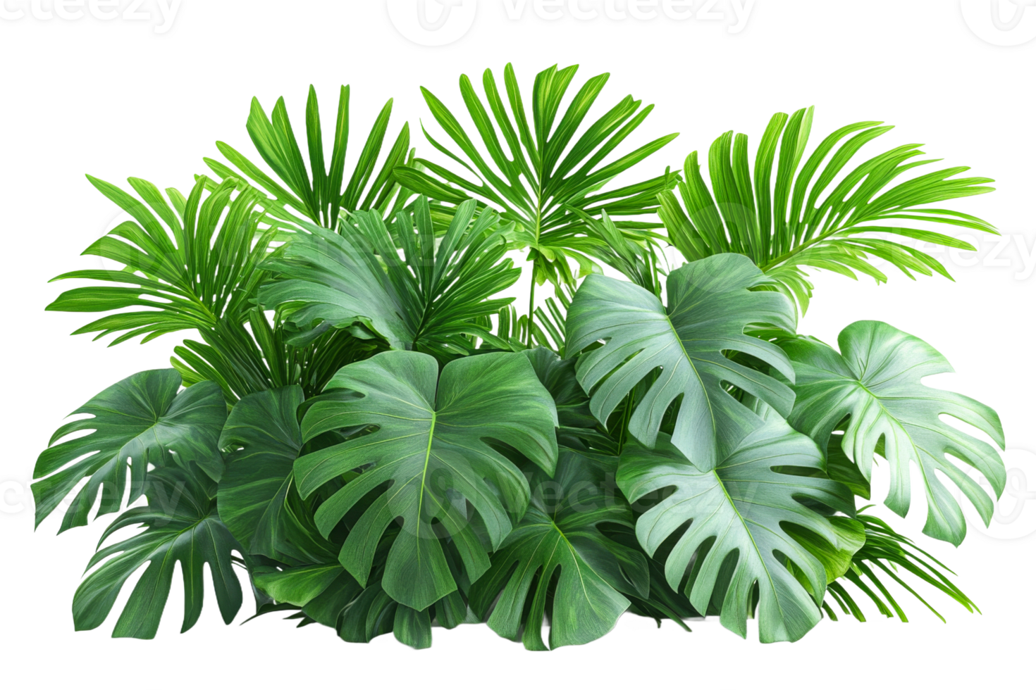 Lush tropical plants grouped for interior decor png