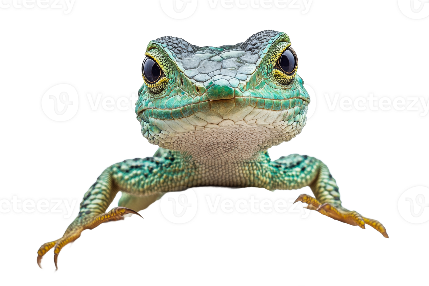 Detailed close up of a vibrant green lizard png