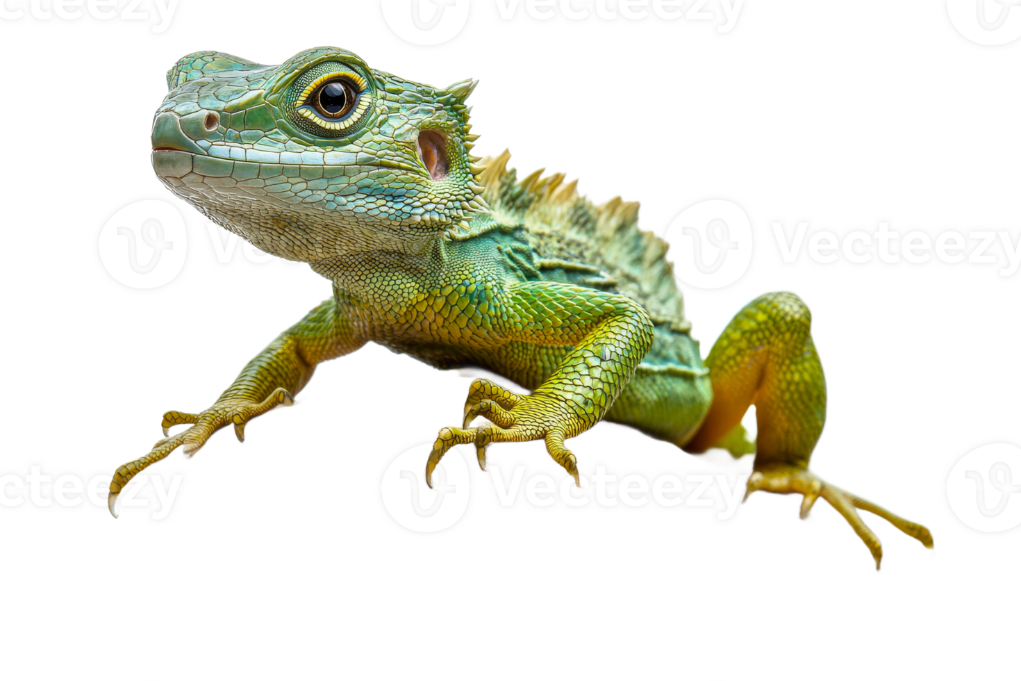 Vibrant green lizard with textured skin and stance png