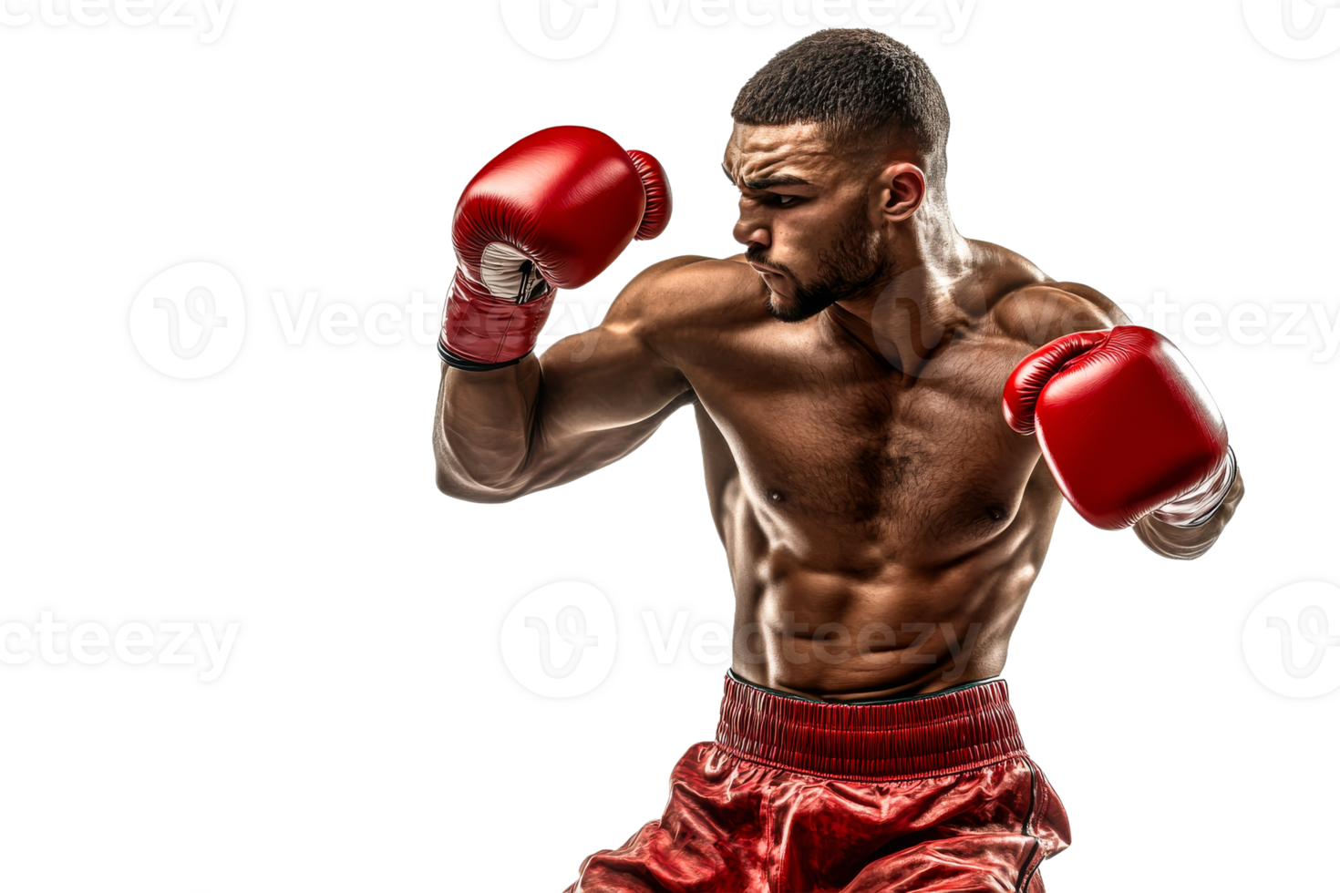 Intense training by a determined boxer png
