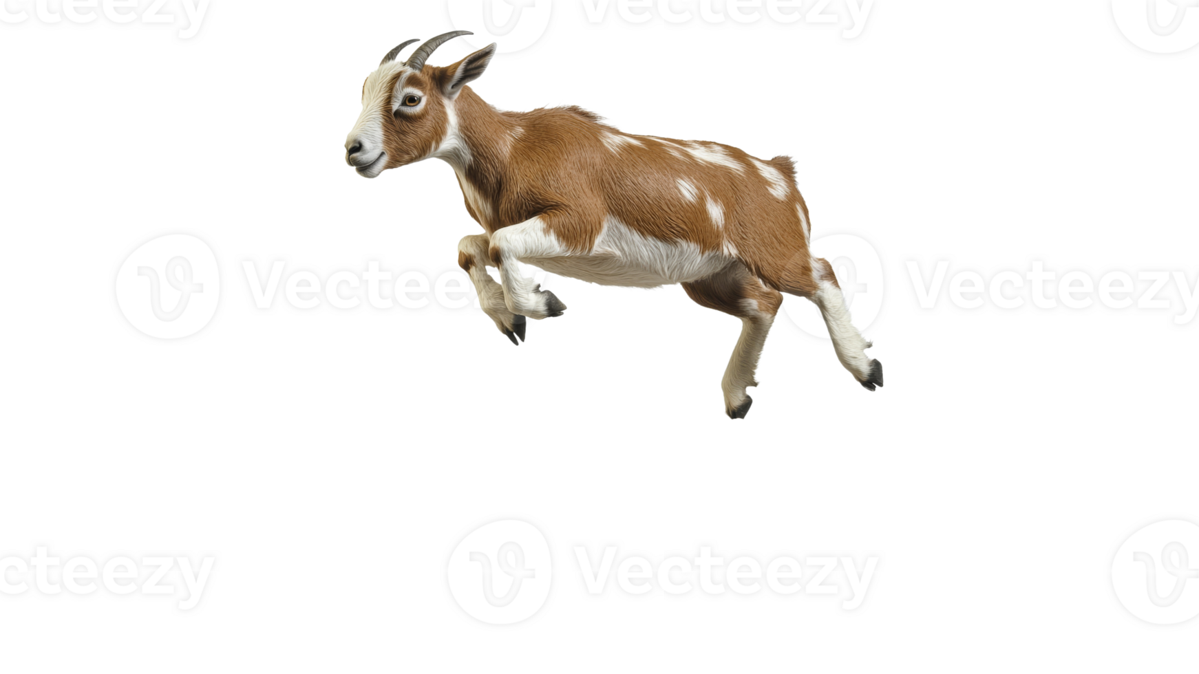 Cute goat jumping in a playful manner outdoors png