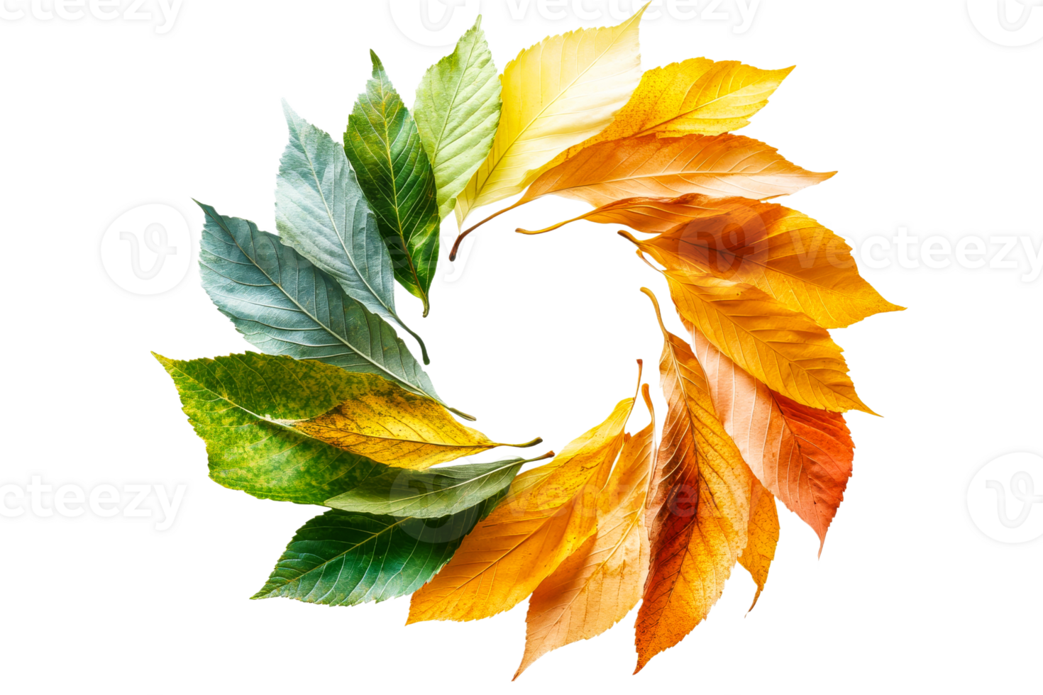 Colorful leaves arranged in a circular pattern png