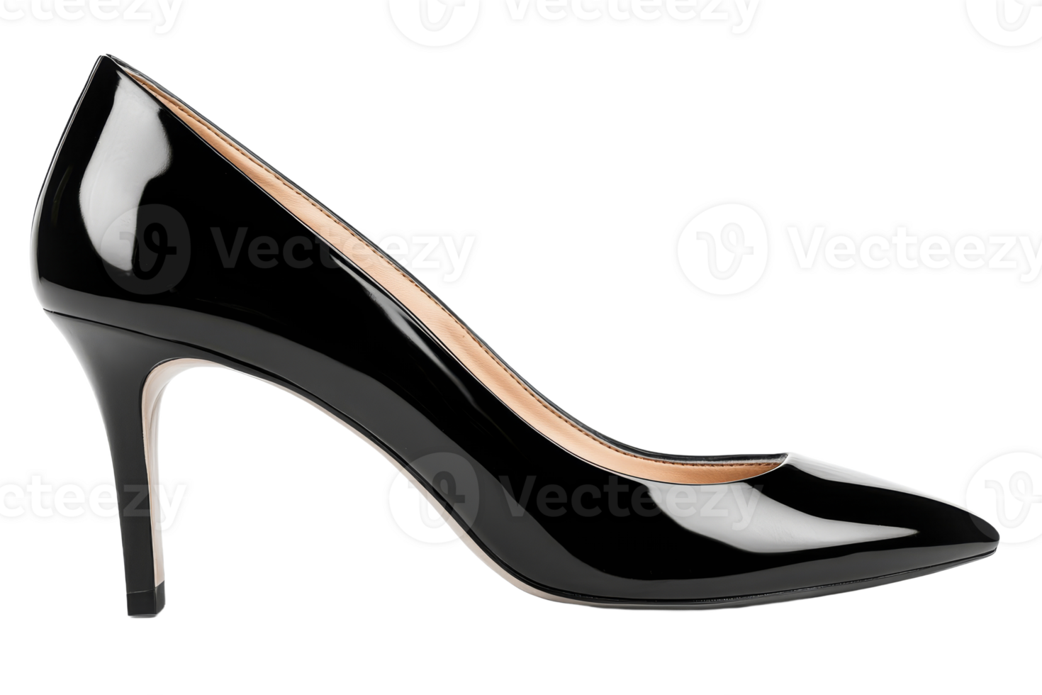 Elegant black high heel shoe for formal occasions png