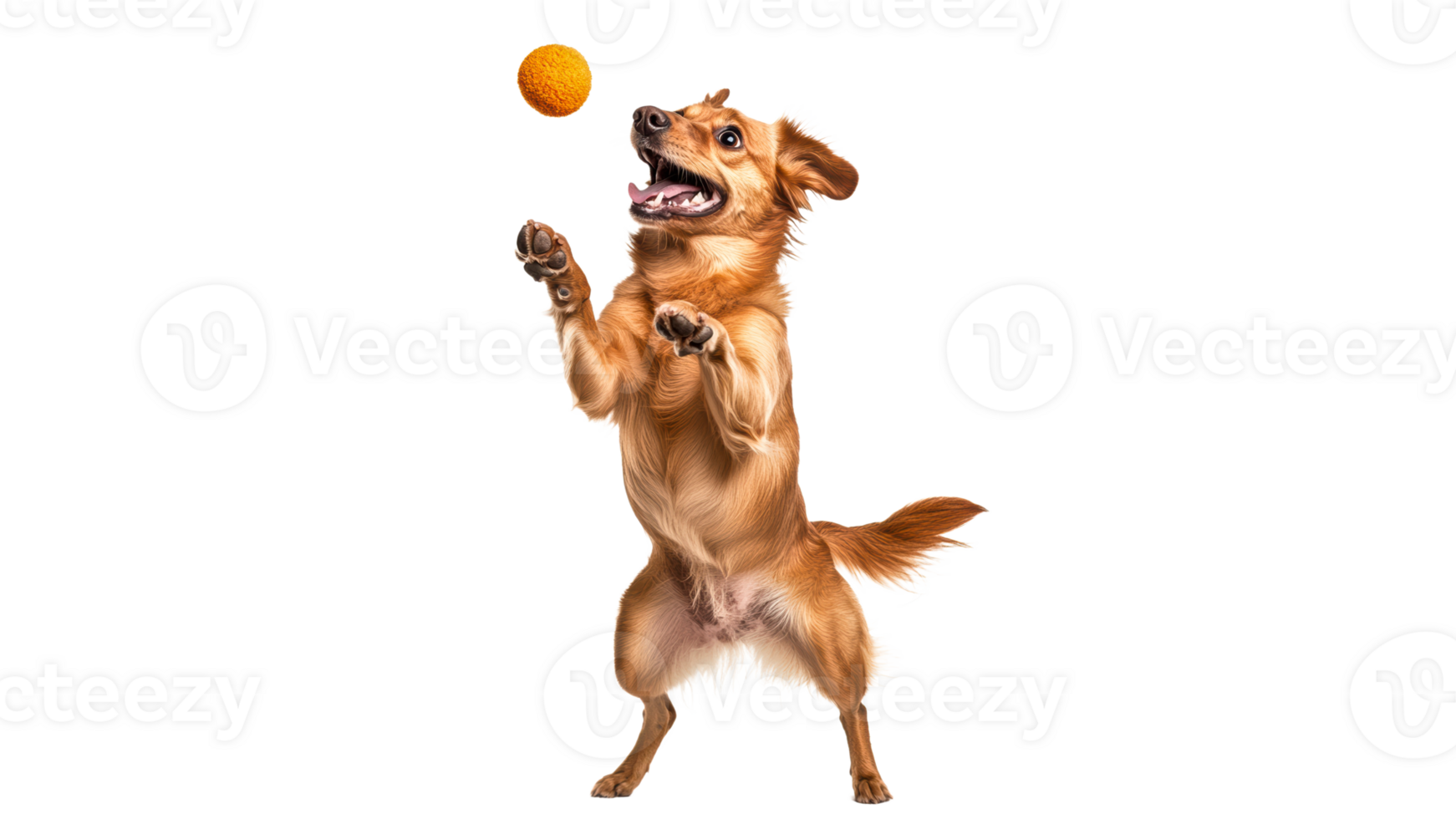 Happy dog jumping to catch a bright ball png