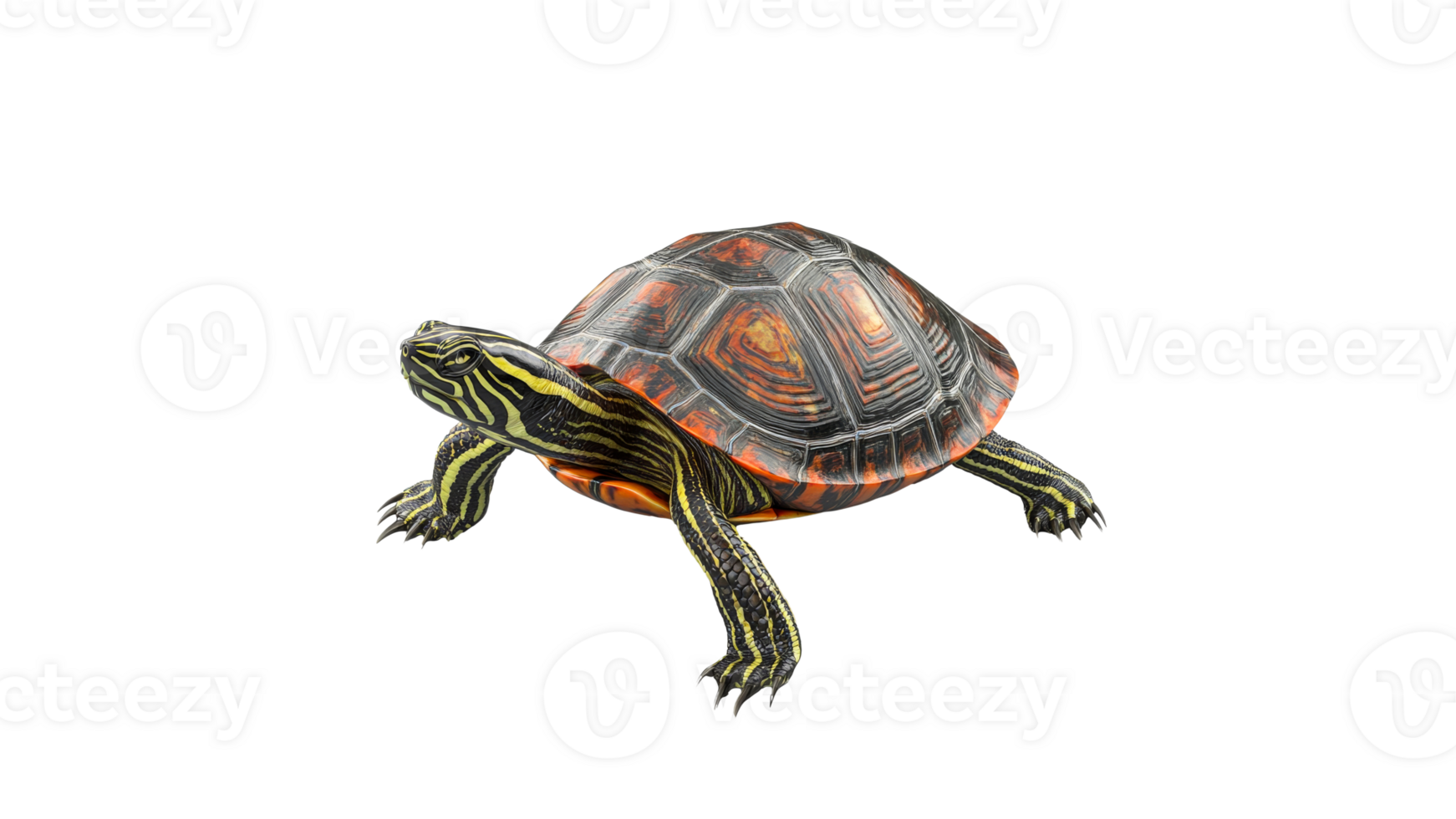 Colorful turtle walking on a smooth surface png