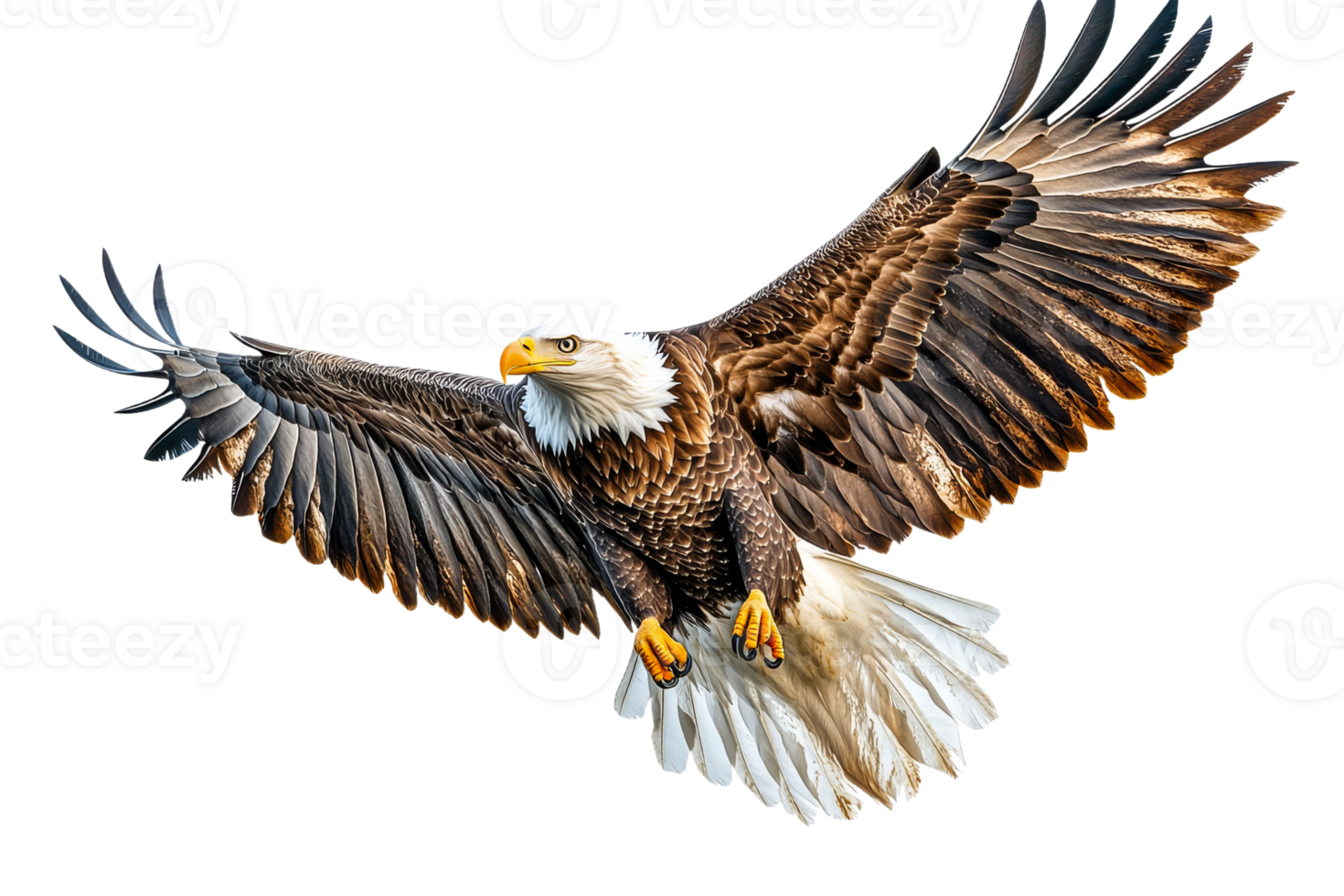 Majestic bald eagle soaring through the sky transparent background png