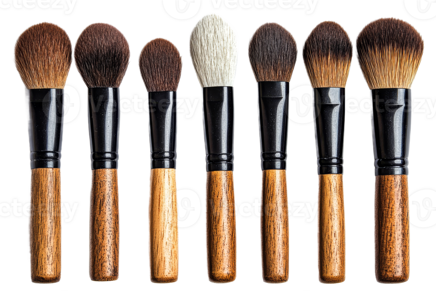 Variety of makeup brushes on display png