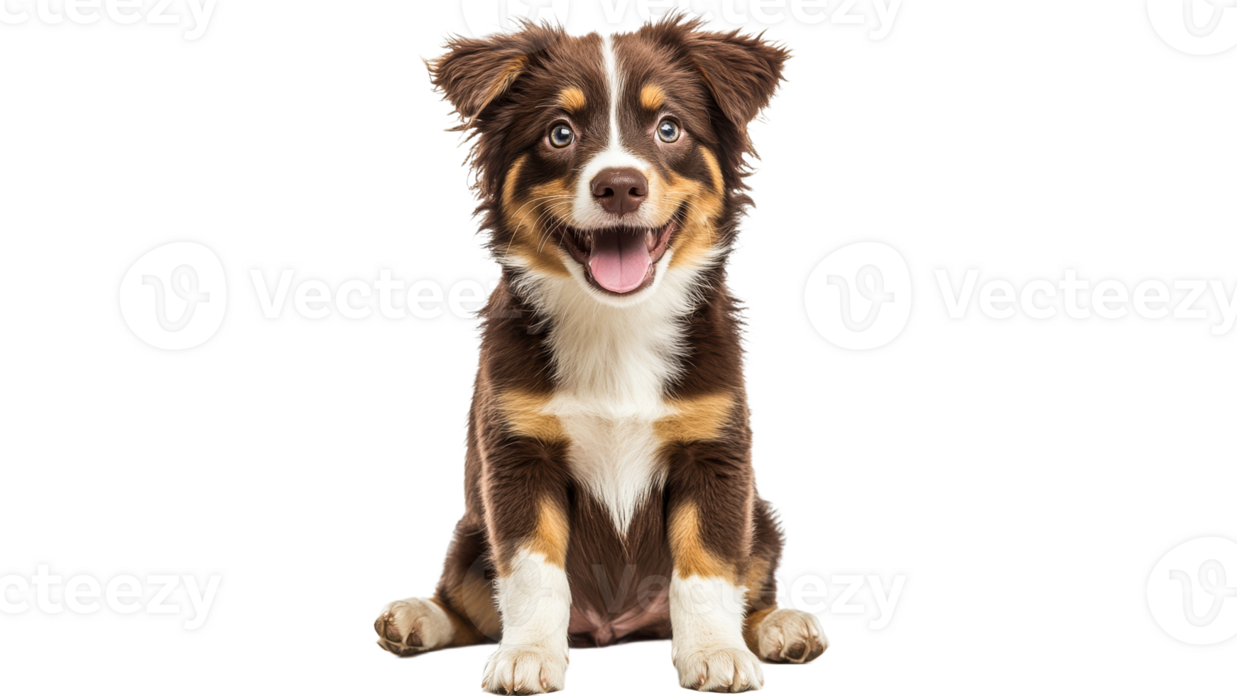 Happy puppy sitting and smiling in bright light png