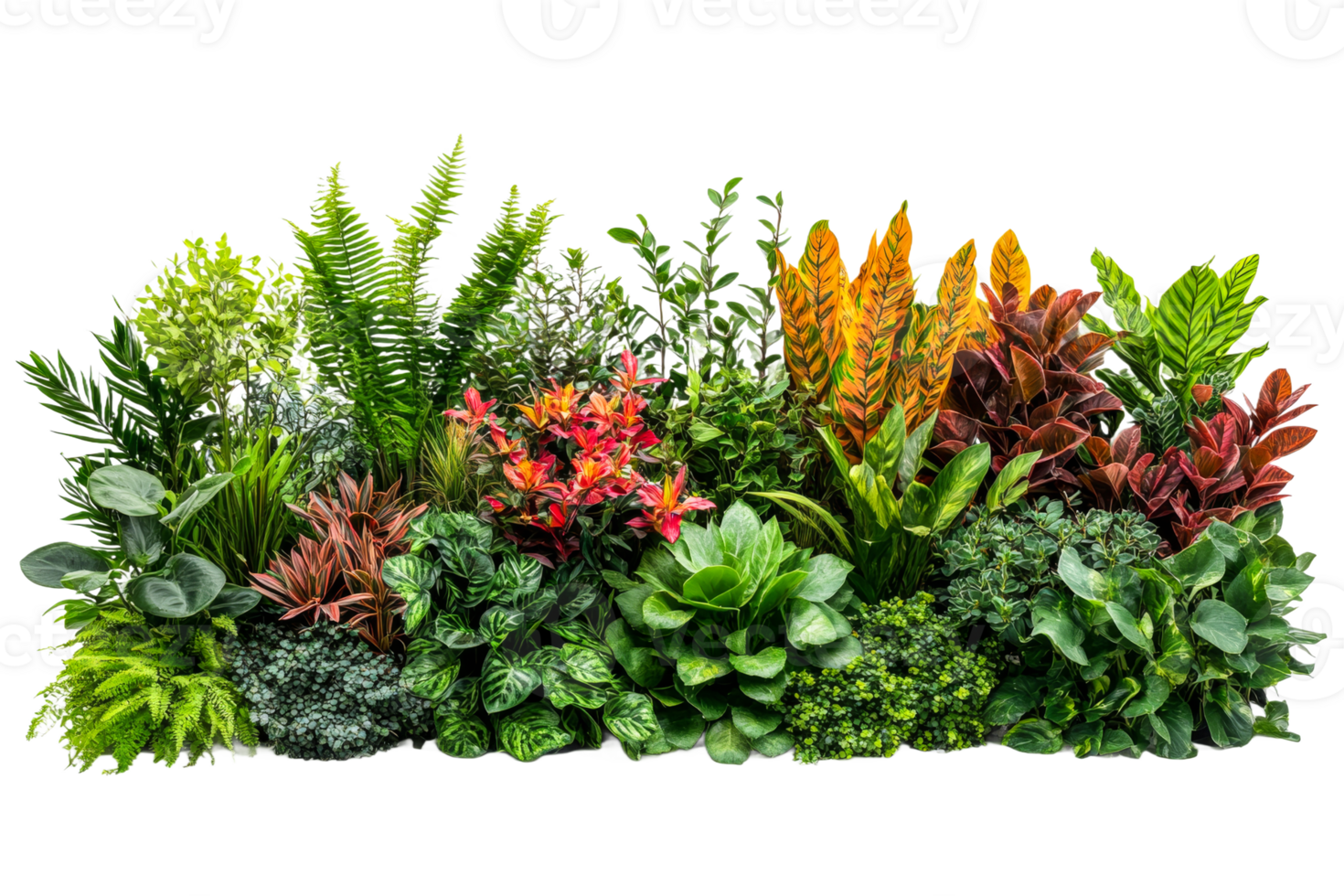 Tropical plants in vibrant indoor setting png