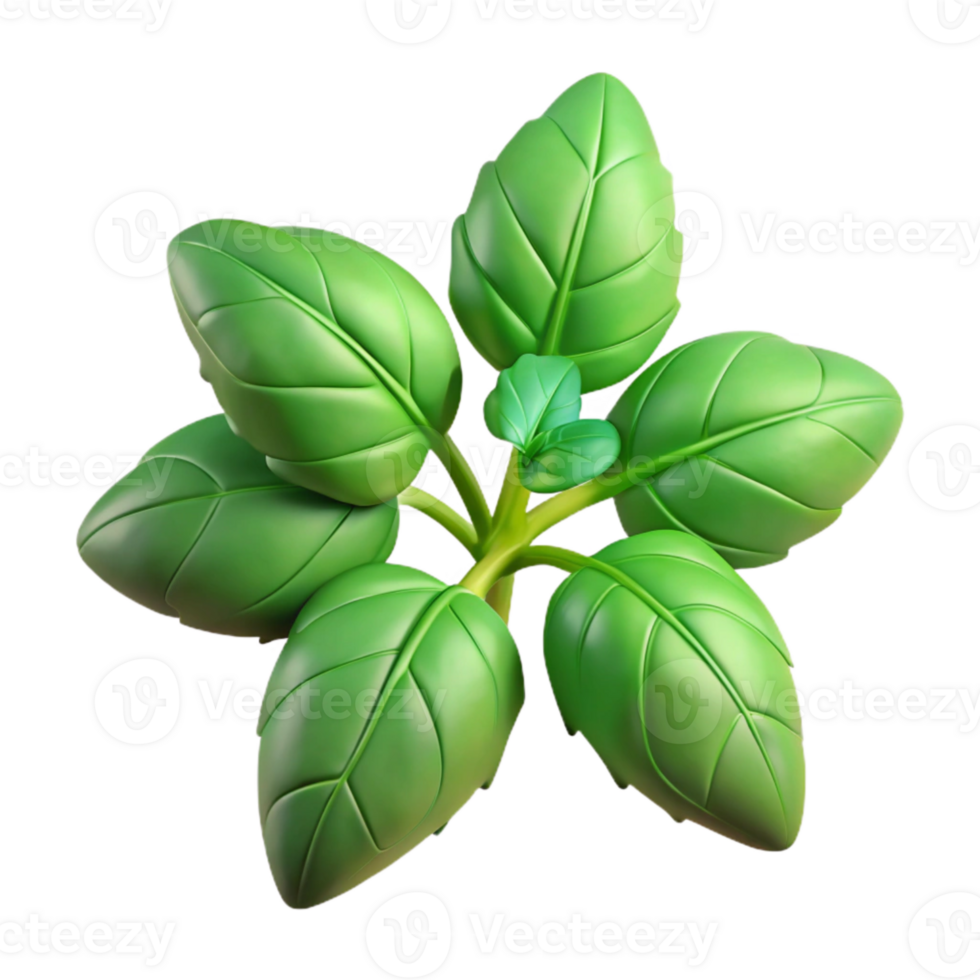 stunning vintage Holy Basil Plant Cutout with Green Leaves detailed png