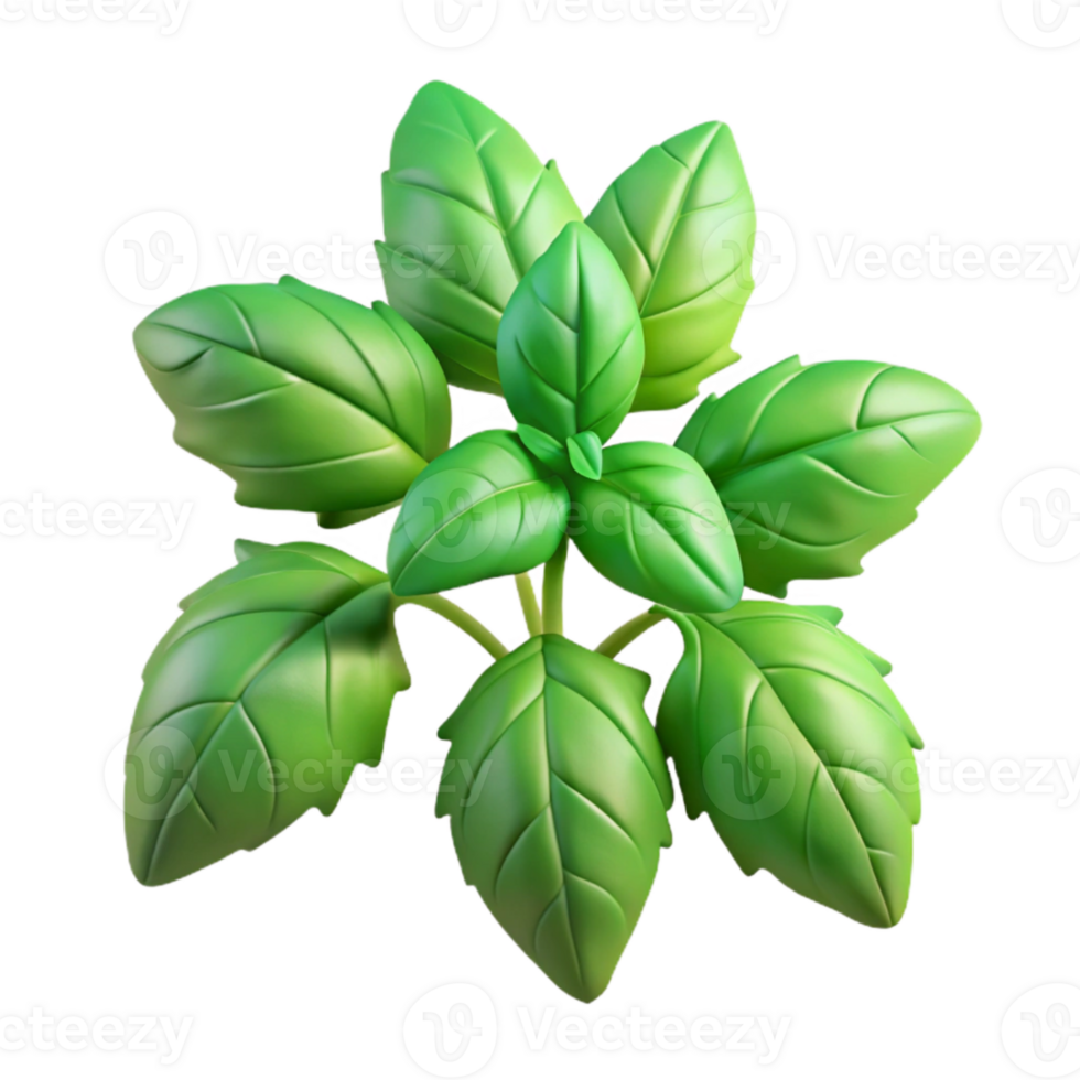 stunning classic Holy Basil Plant Cutout with Green Leaves detailed png