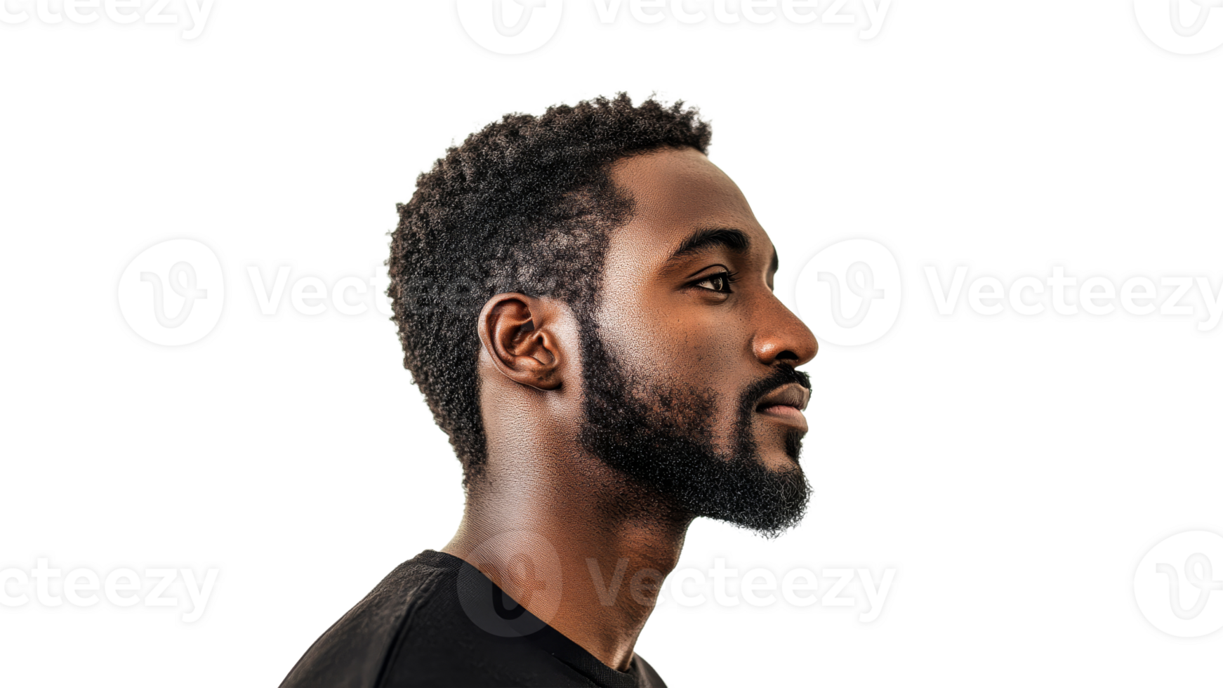 Profile of a man with curly hair and beard png