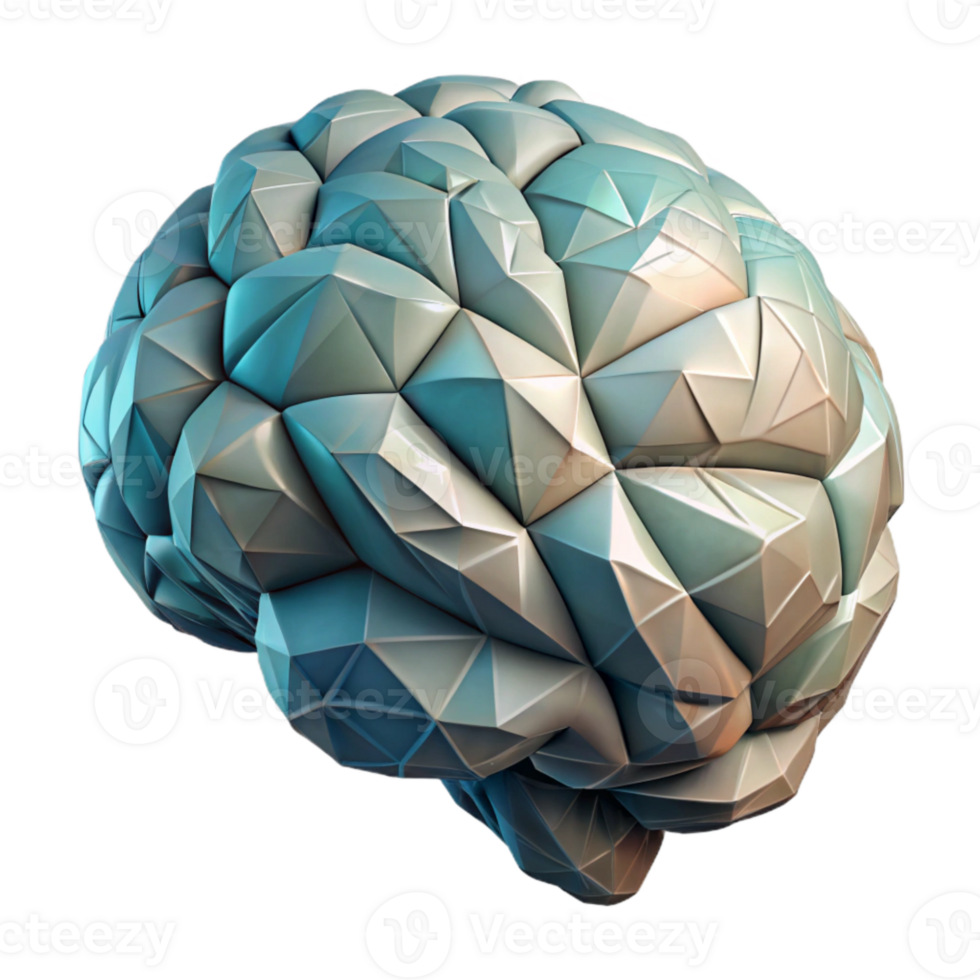 magnificent minimalist Human Brain Anatomy Model Realistic Render Cutout professional png