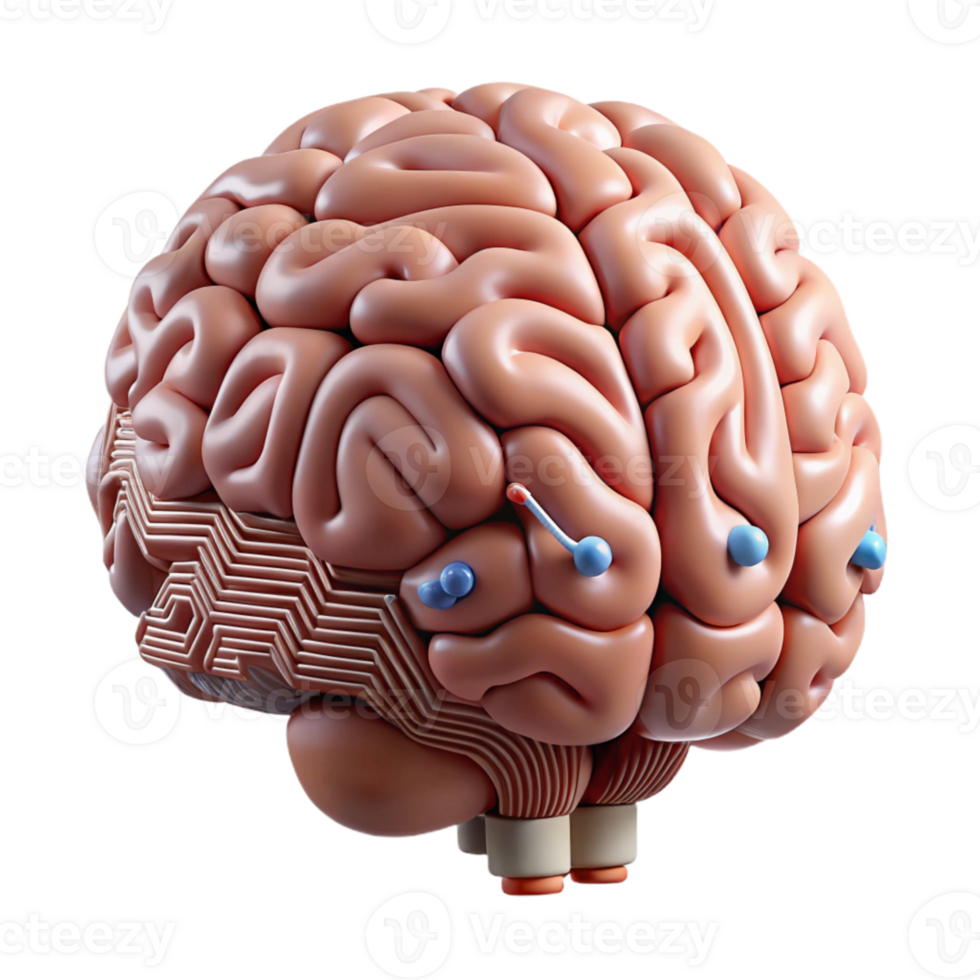 elegant modern Human Brain Processing Language Information Cutout png