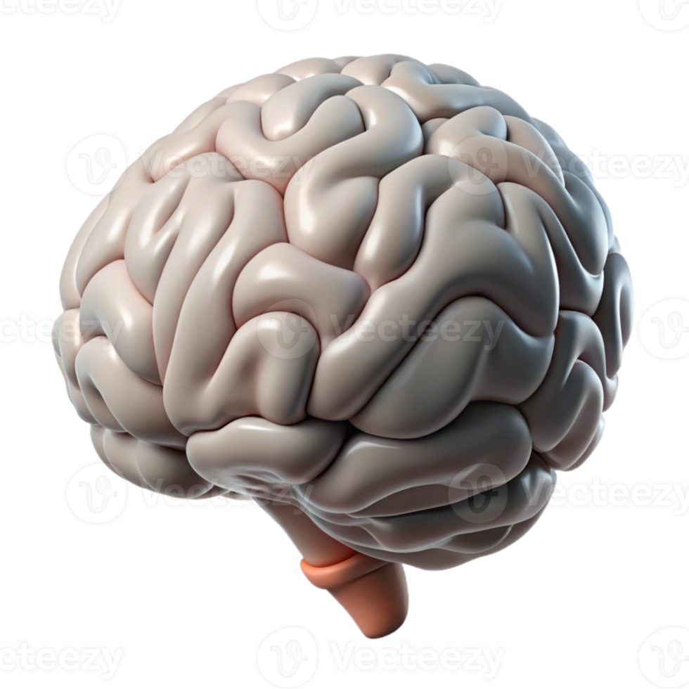 elegant abstract Human Brain Side View Pink Transparent Cutout exclusive png
