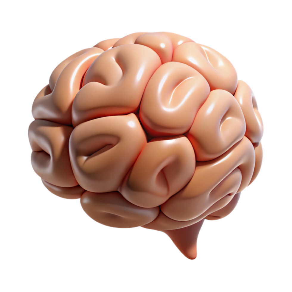 magnificent minimalist Human Brain Understanding Language Nuances Cutout detailed png