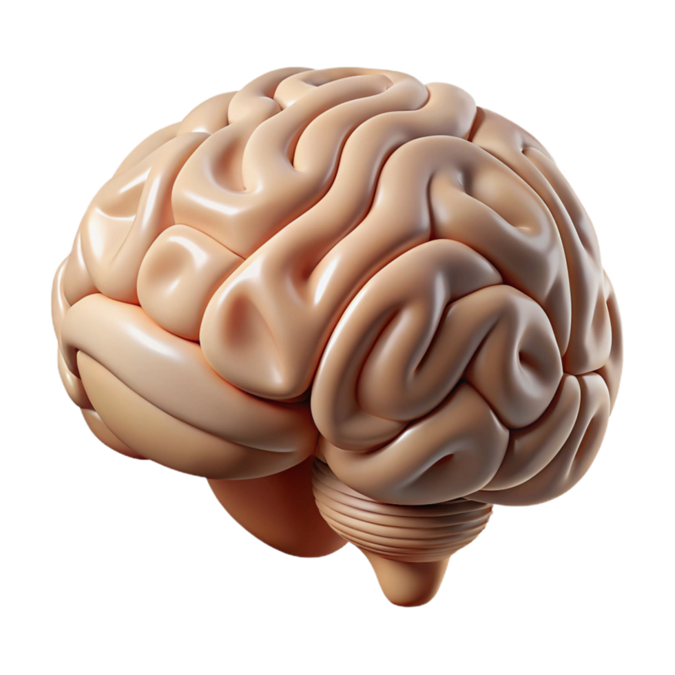 serene creative Human Brain Understanding Language Nuances Cutout high quality png
