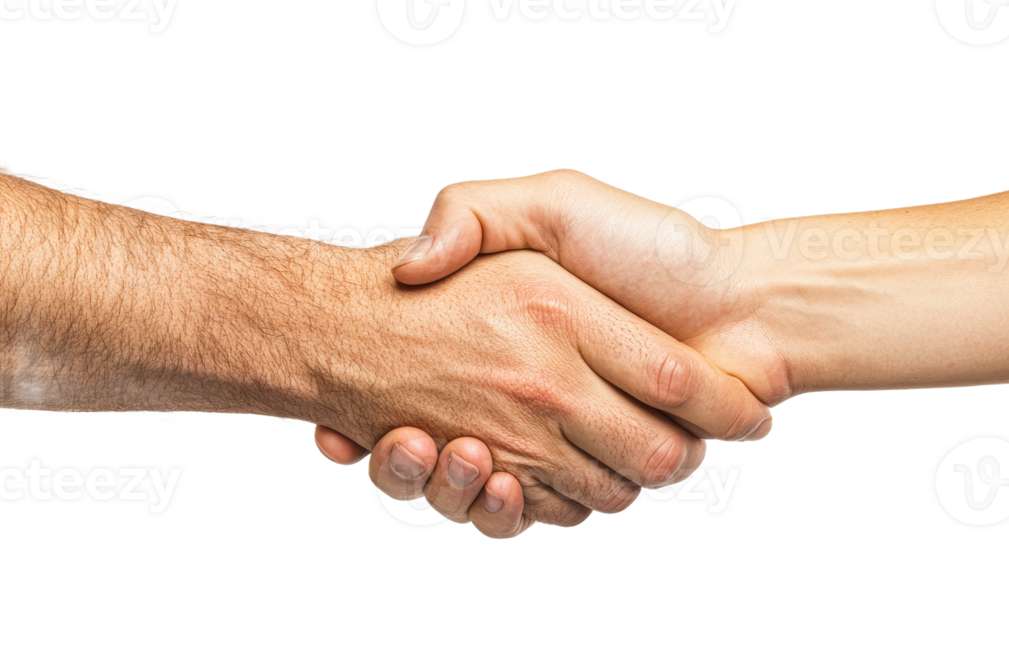 Two hands shake in a gesture of agreement png